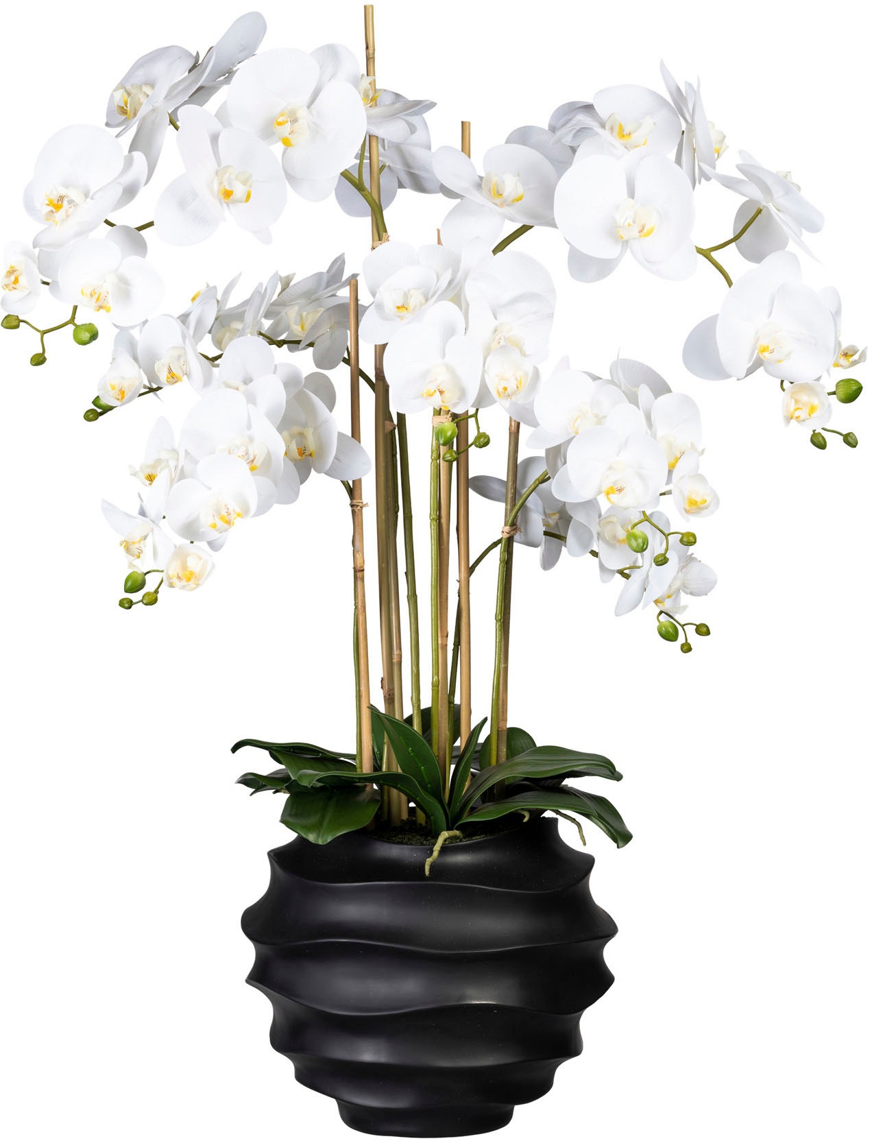 Creativ green Kunstorchidee »Phalaenopsis«, (1 St.), in Design-Kunststoffvase kaufen
