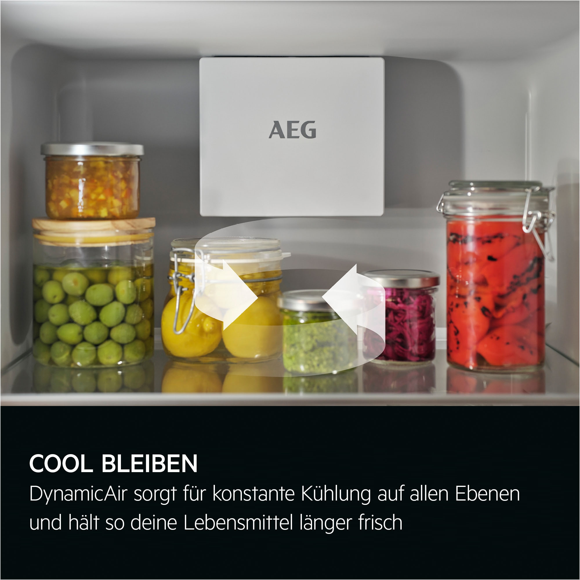 AEG Einbaukühlschrank 6000 »TK6FS181CC 923584303« 176,9 cm hoch 55,7 cm breit CustomFlex® – Flexible Fächer in der Kühlschranktür für mehr Stauraum