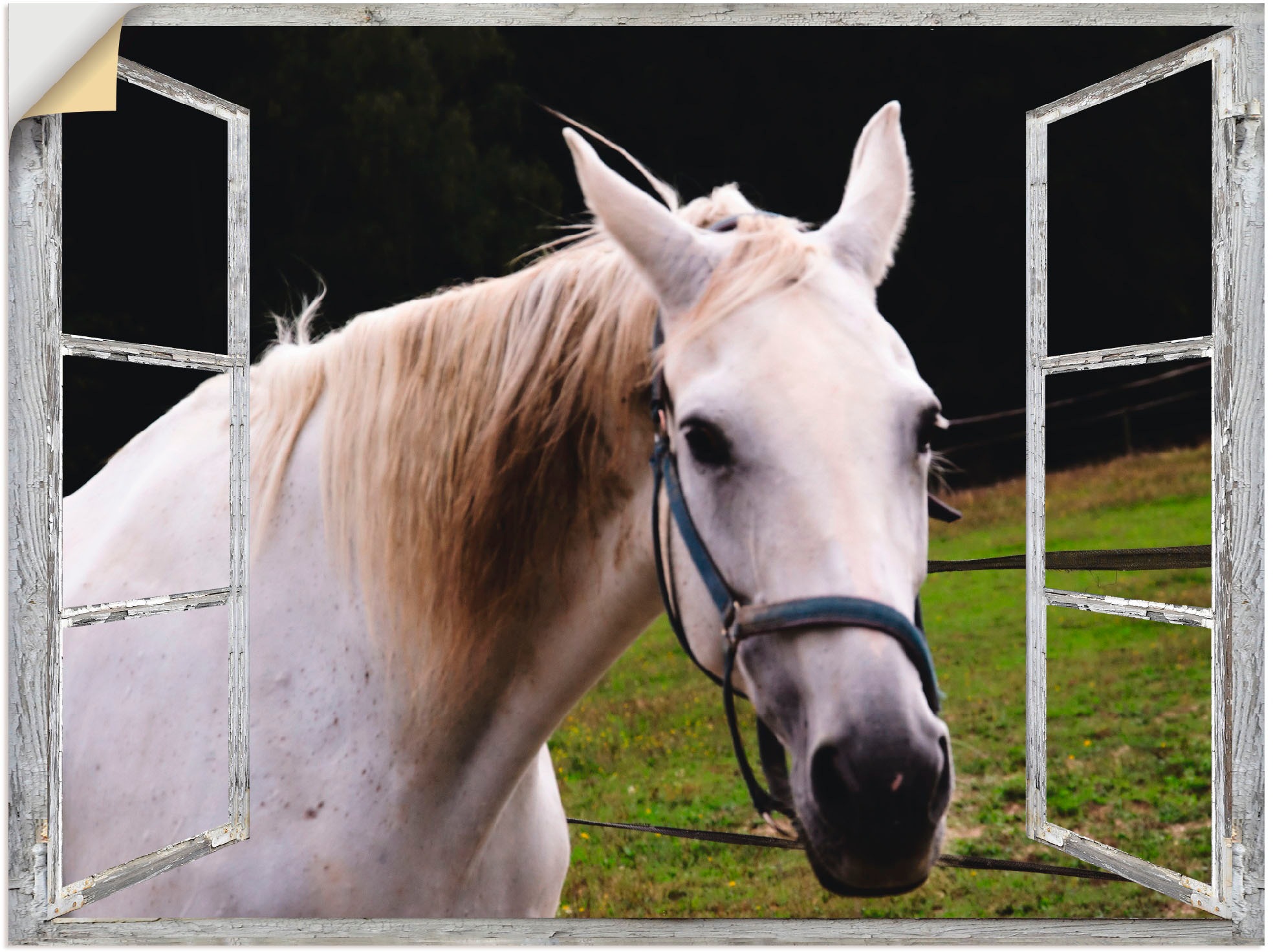 Artland Wandfolie "Fensterblick - weisses Pferd", Haustiere, (1 St.), selbstklebend