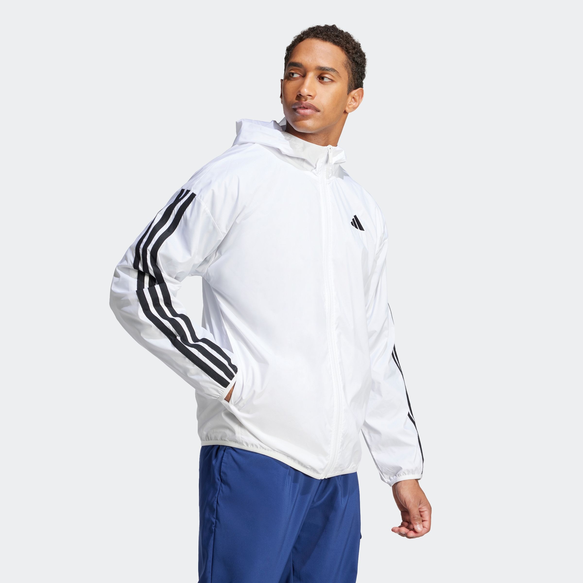 adidas Sportswear Windbreaker "M 3S WB" günstig online kaufen