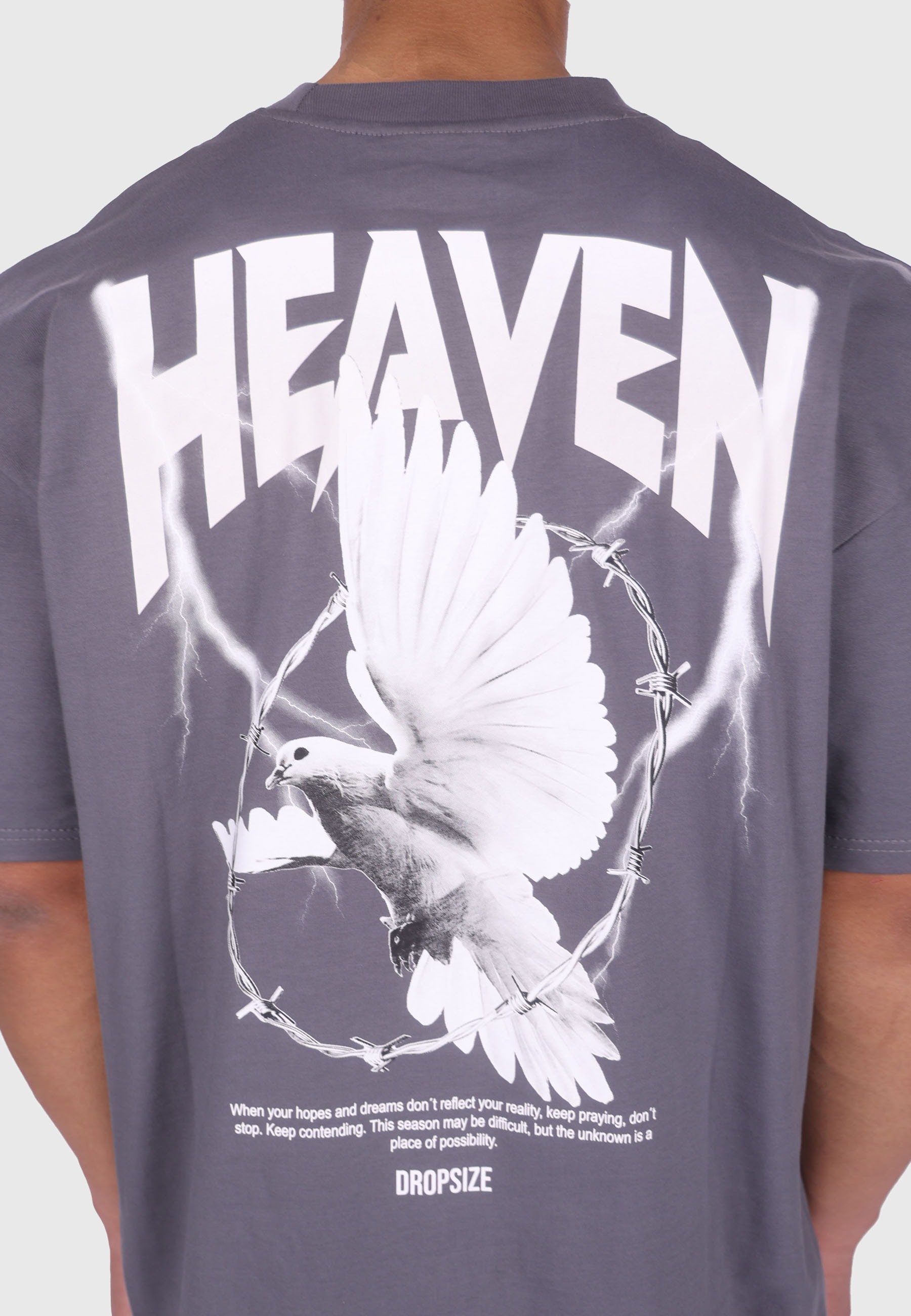 Dropsize T-Shirt »Dropsize HEAVY OVERSIZED HEAVEN DOVE T-SHIRT« 1 Stk.