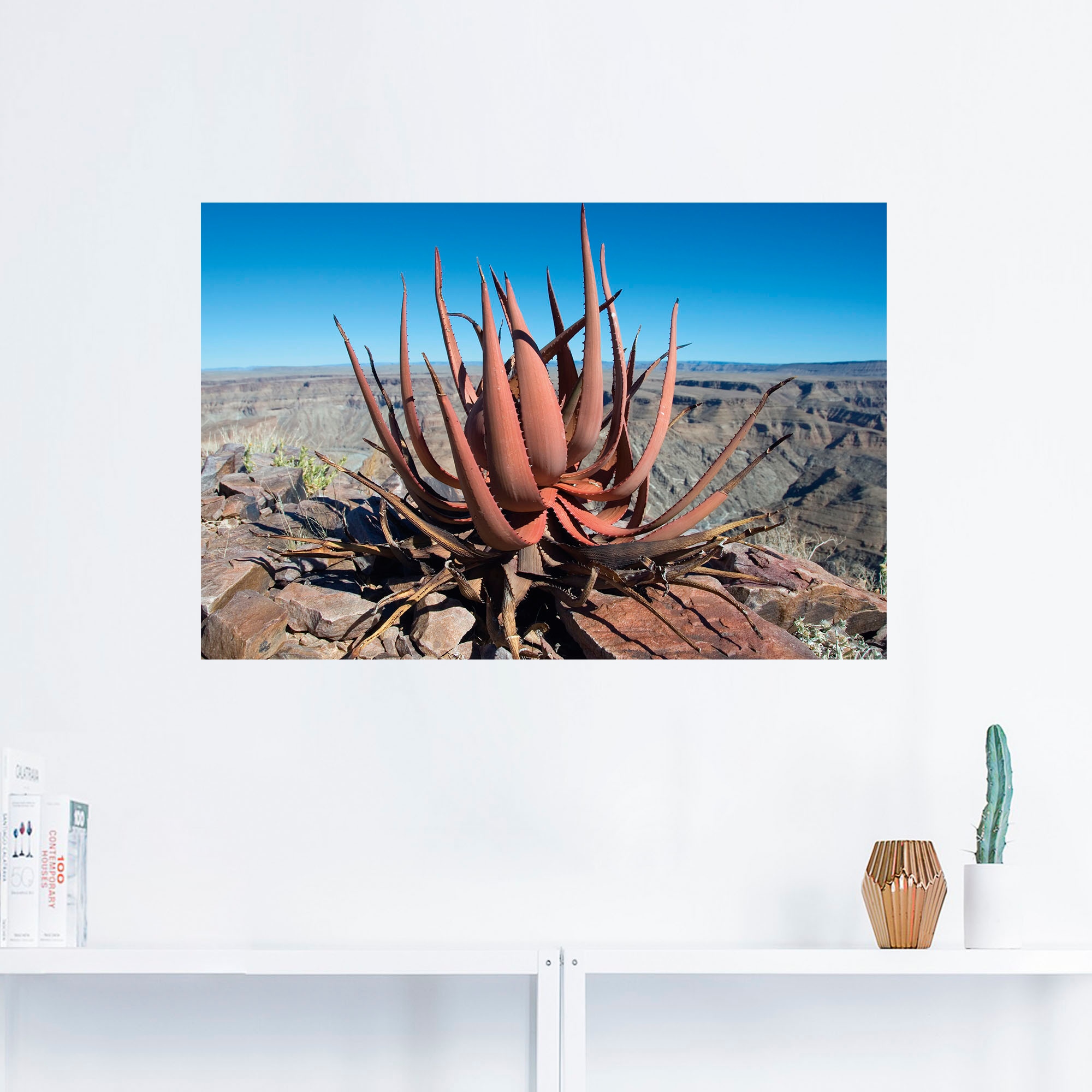 Artland Wandbild »Aloe gariepensis, Sukkulente«, Pflanzenbilder, (1 St.), als Alubild, Leinwandbild, Wandaufkleber oder Poster in versch. Größen