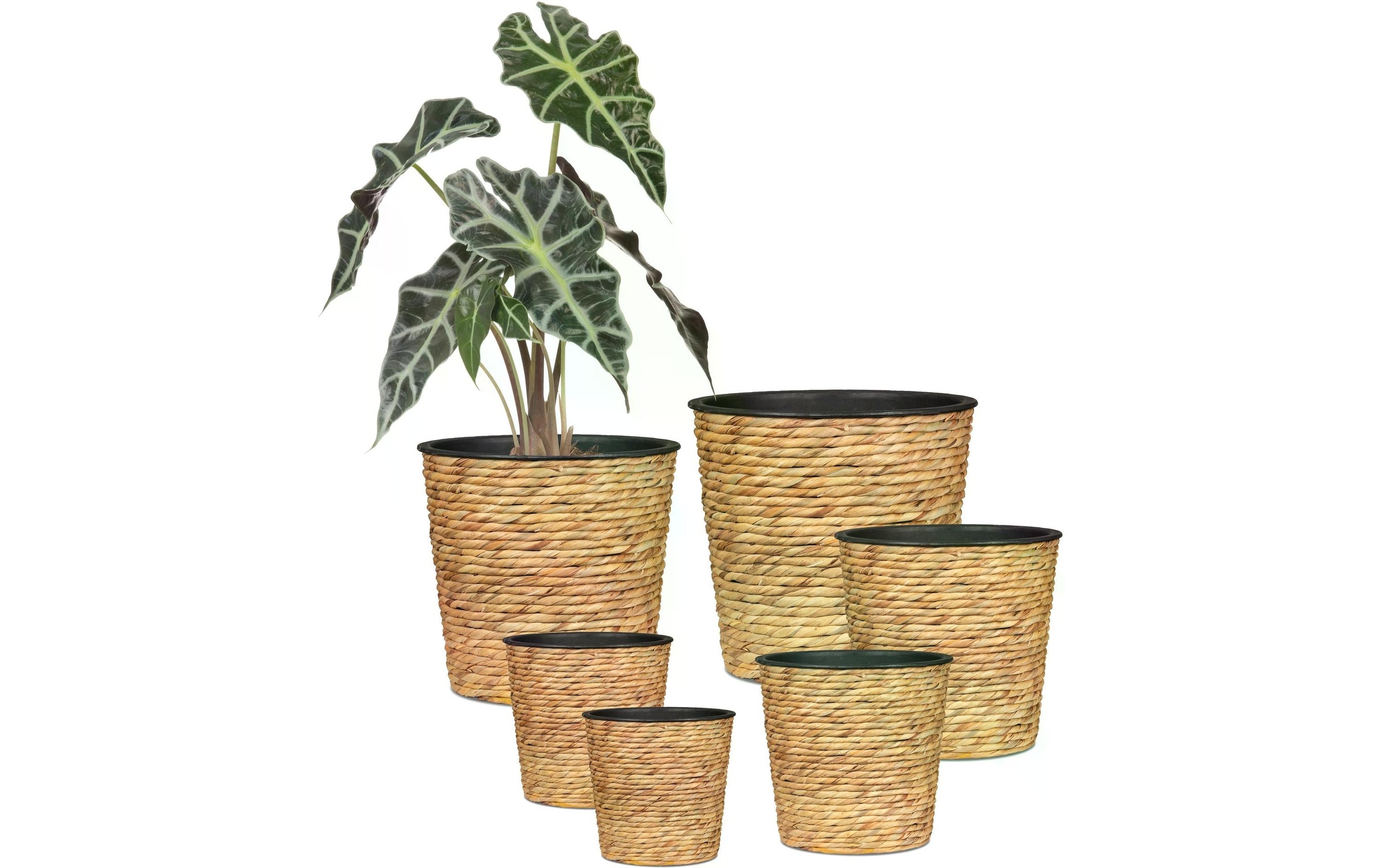 Scheurich Blumentopf »mit Plastikeinsatz 24 x 24 cm«