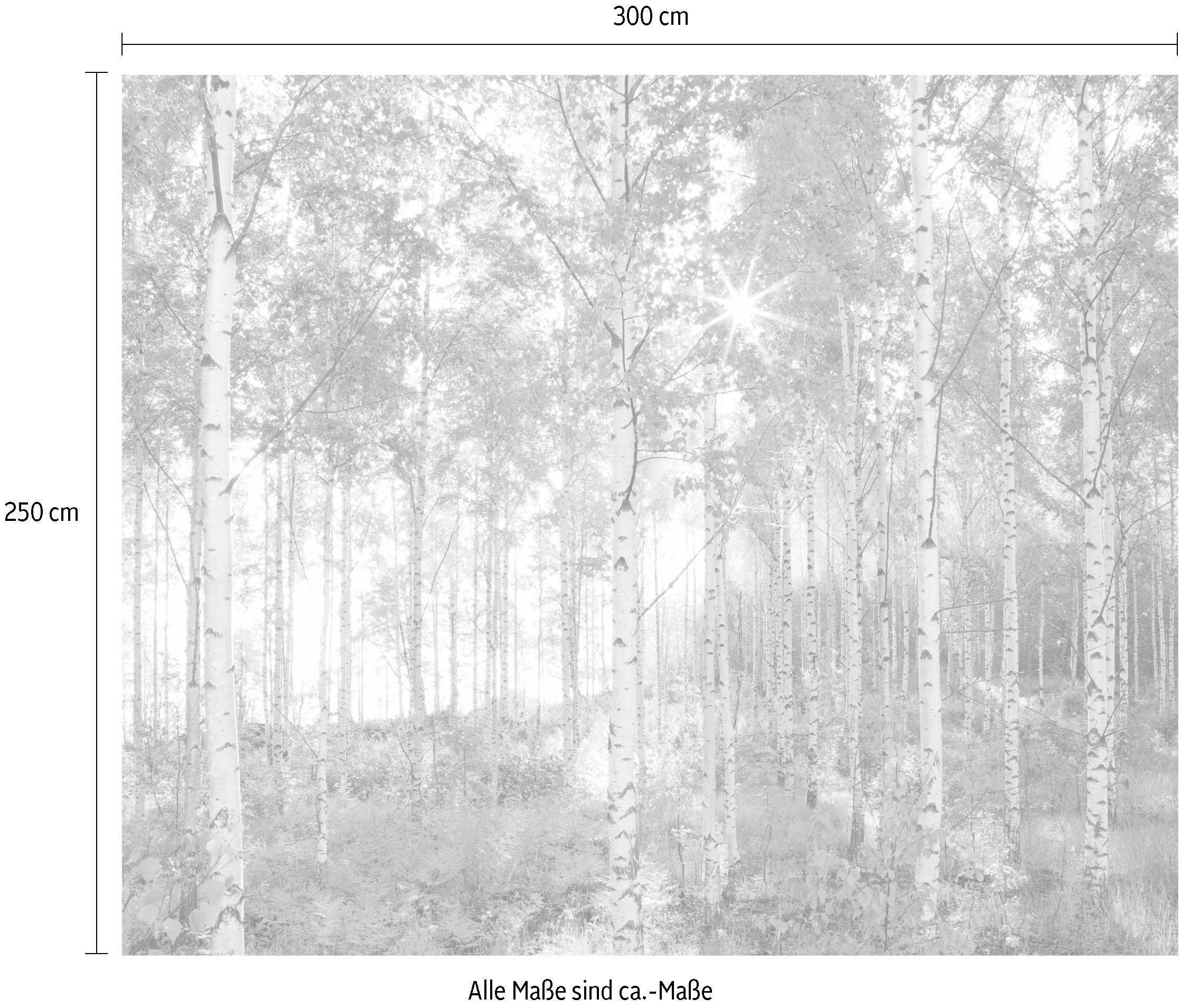 Komar Vliestapete »Digitaldruck Vlies - Sunday - Größe 300 x 250 cm«, bedruckt, Wohnzimmer, Schlafzimmer