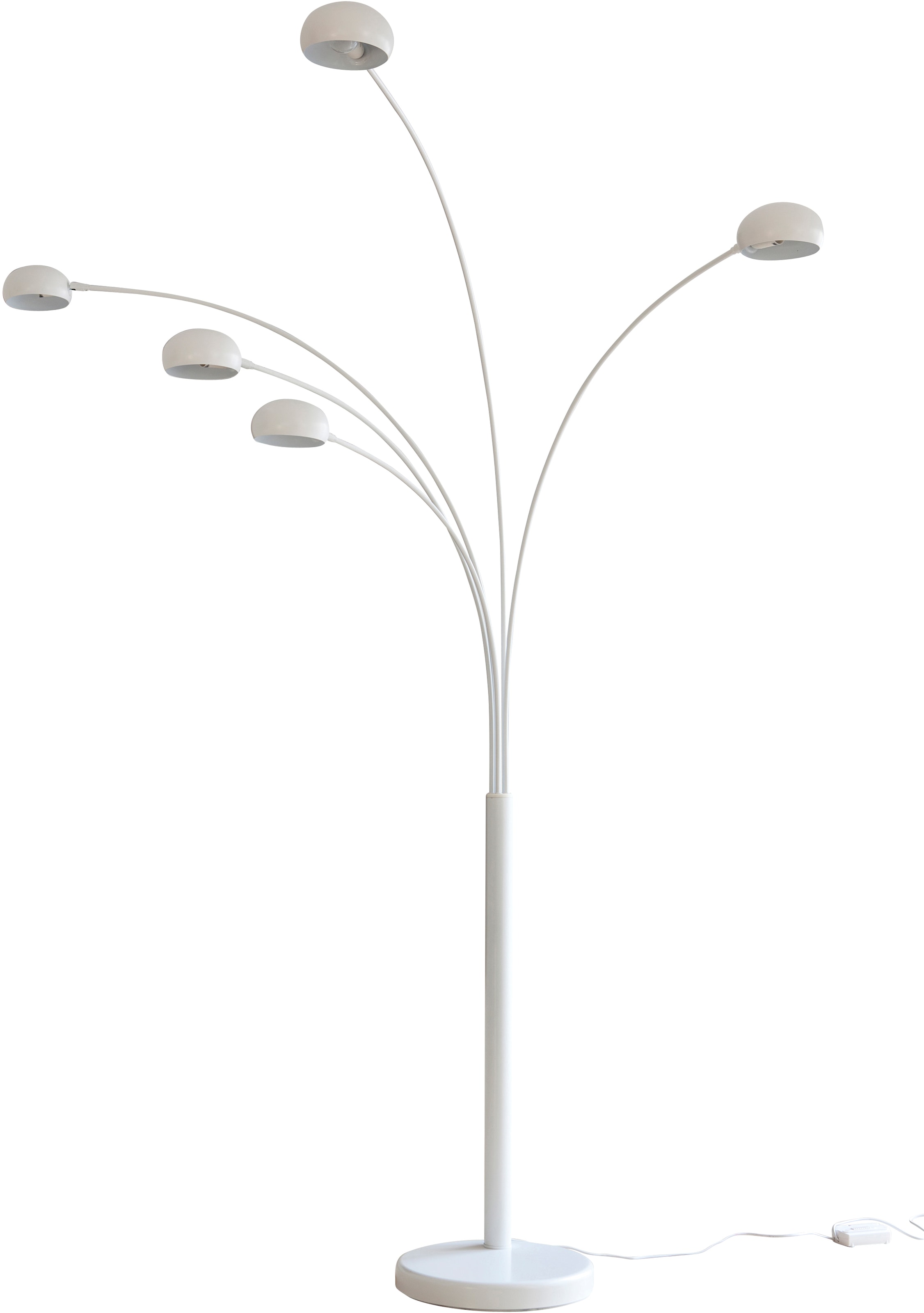 TRIO »Reed«, LED 5 | Stehlampe Memory BAUR Leuchten Sensordimmer, Funktion flammig-flammig,