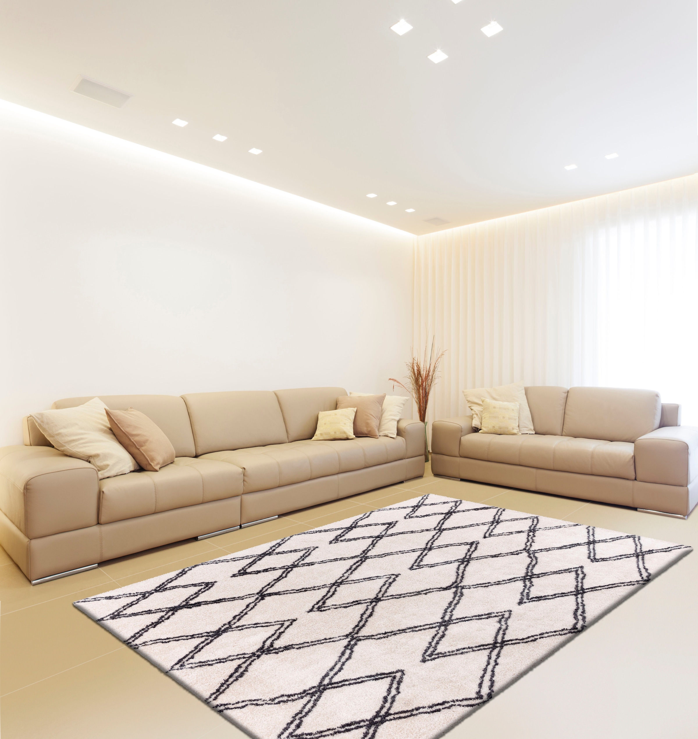 calo-deluxe Hochflor-Teppich »Elvar-3000«, rechteckig, 27 mm Höhe, besonders weich durch Microfaser, Wohnzimmer