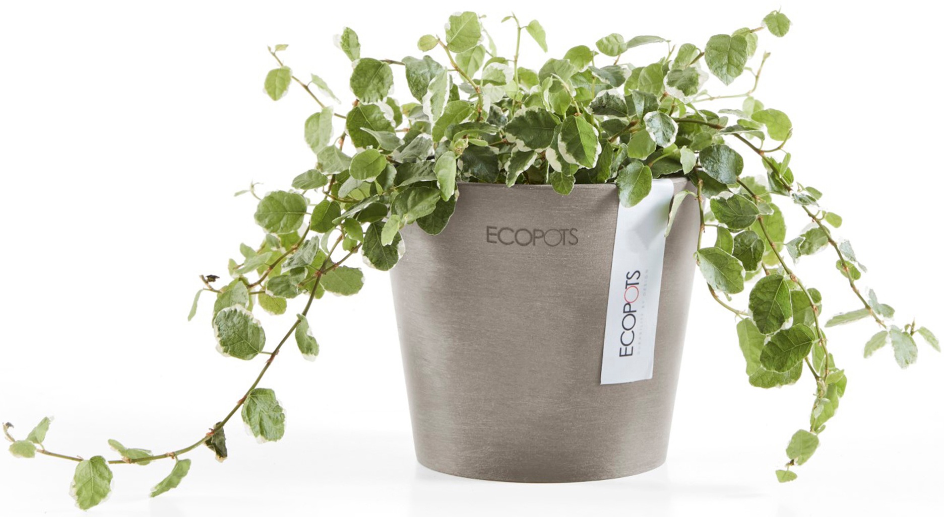 ECOPOTS Blumentopf »Amsterdam Mini 10,5 Taupe«, für den Innenbereich