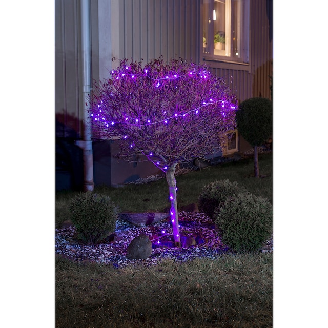 KONSTSMIDE LED-Lichterkette »Weihnachtsdeko aussen«, 80 St.-flammig, LED  Globelichterkette, runde Dioden, mit rot/blau Farbwechsel bestellen | BAUR
