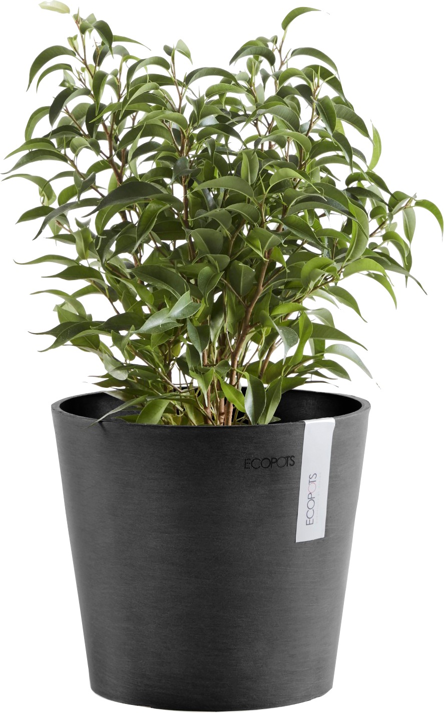 Thumbnail - ECOPOTS Blumentopf "AMSTERDAM Mini Dark Grey", BxTxH: 17x17x14,9 cm
