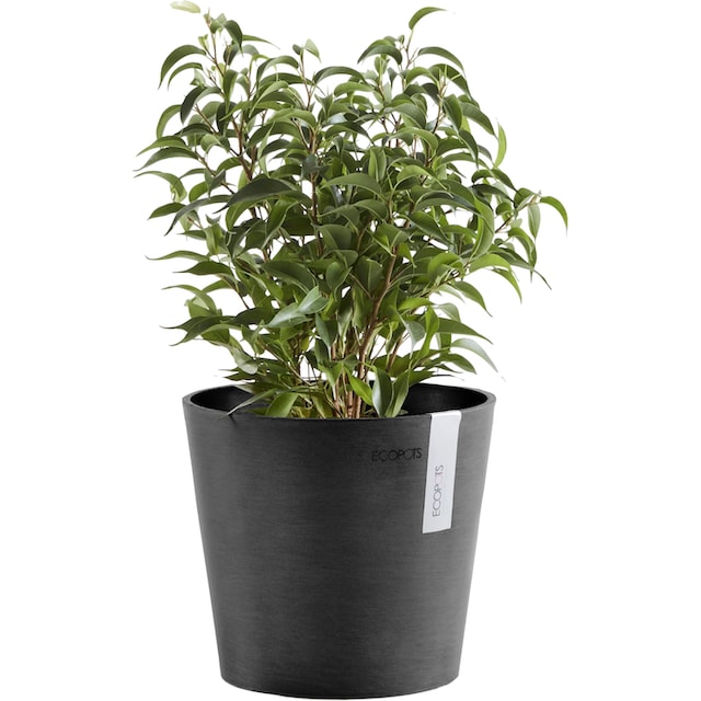 ECOPOTS Blumentopf »AMSTERDAM Mini Dark Grey«, BxTxH: 17x17x14,9 cm  bestellen | BAUR