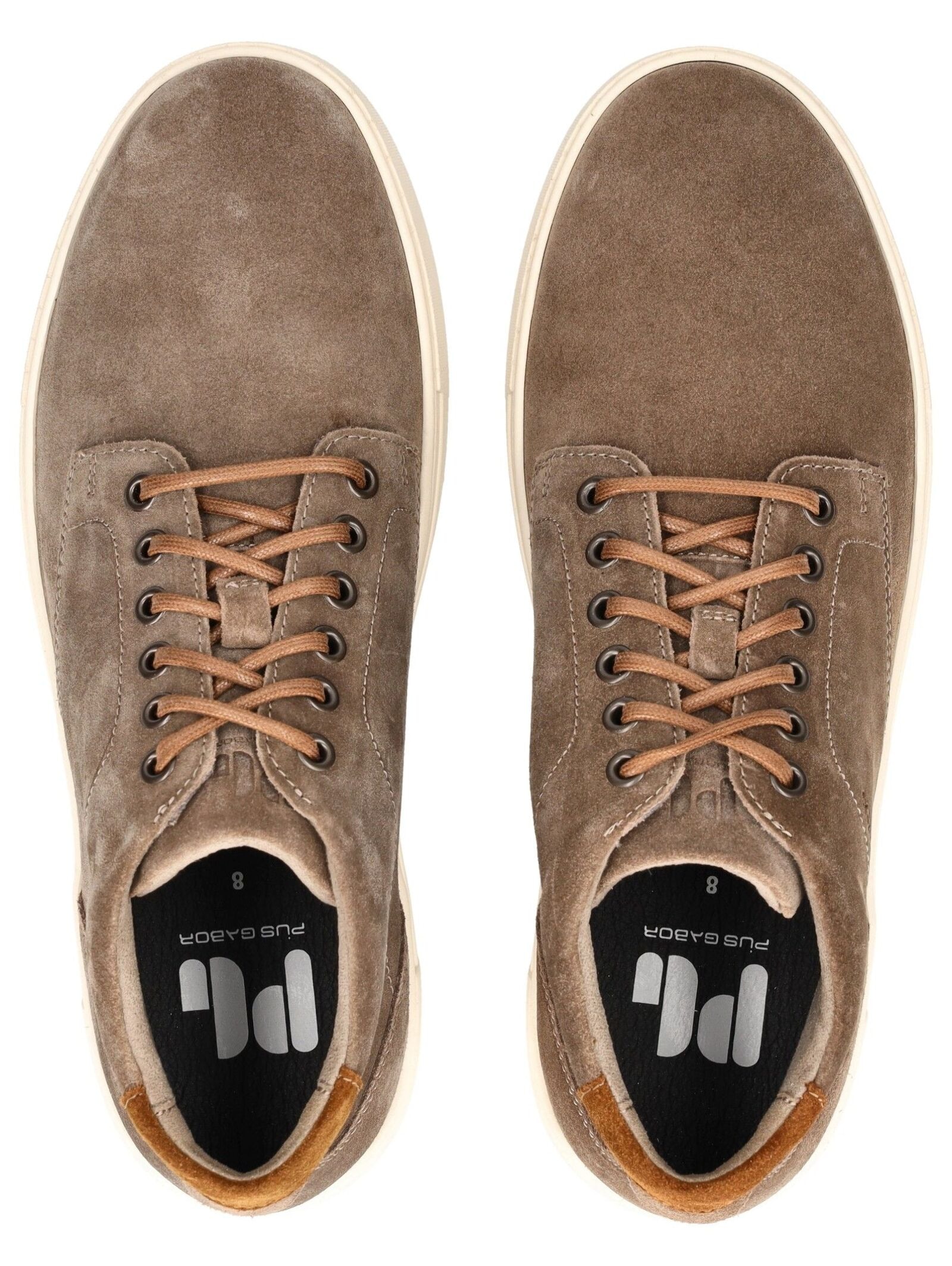 Pius Gabor Sneaker »Pius Gabor Sneaker Veloursleder«