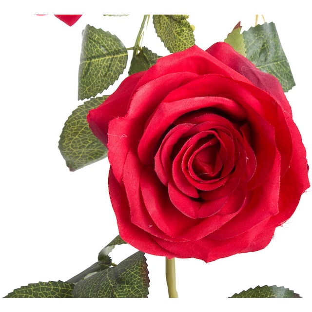 Botanic-Haus Kunstblume »Rosengirlande Dijon« bestellen | BAUR