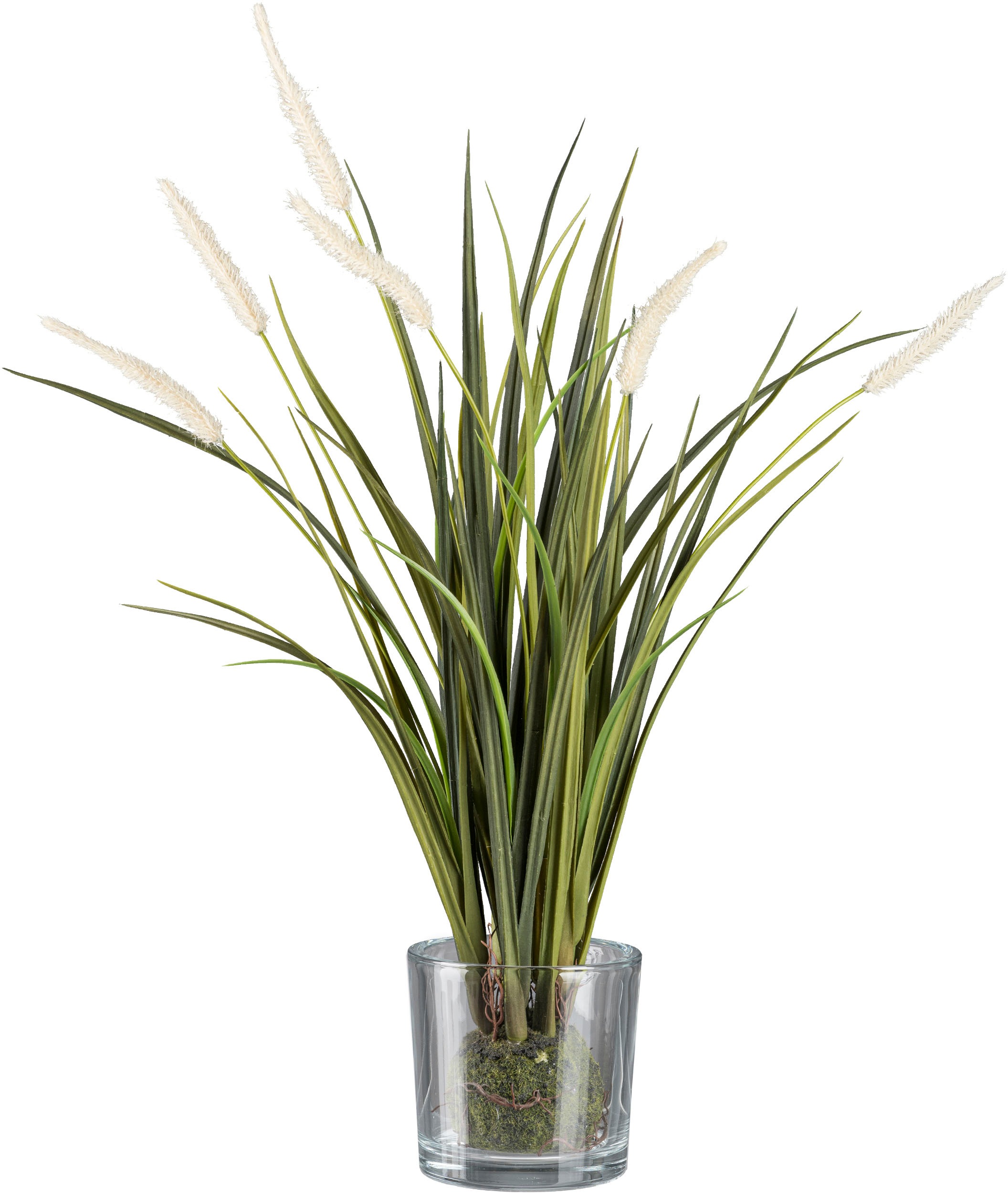 Creativ green Kunstgras "Grasbusch Miscanthus im Erdballen mit Glas" günstig online kaufen