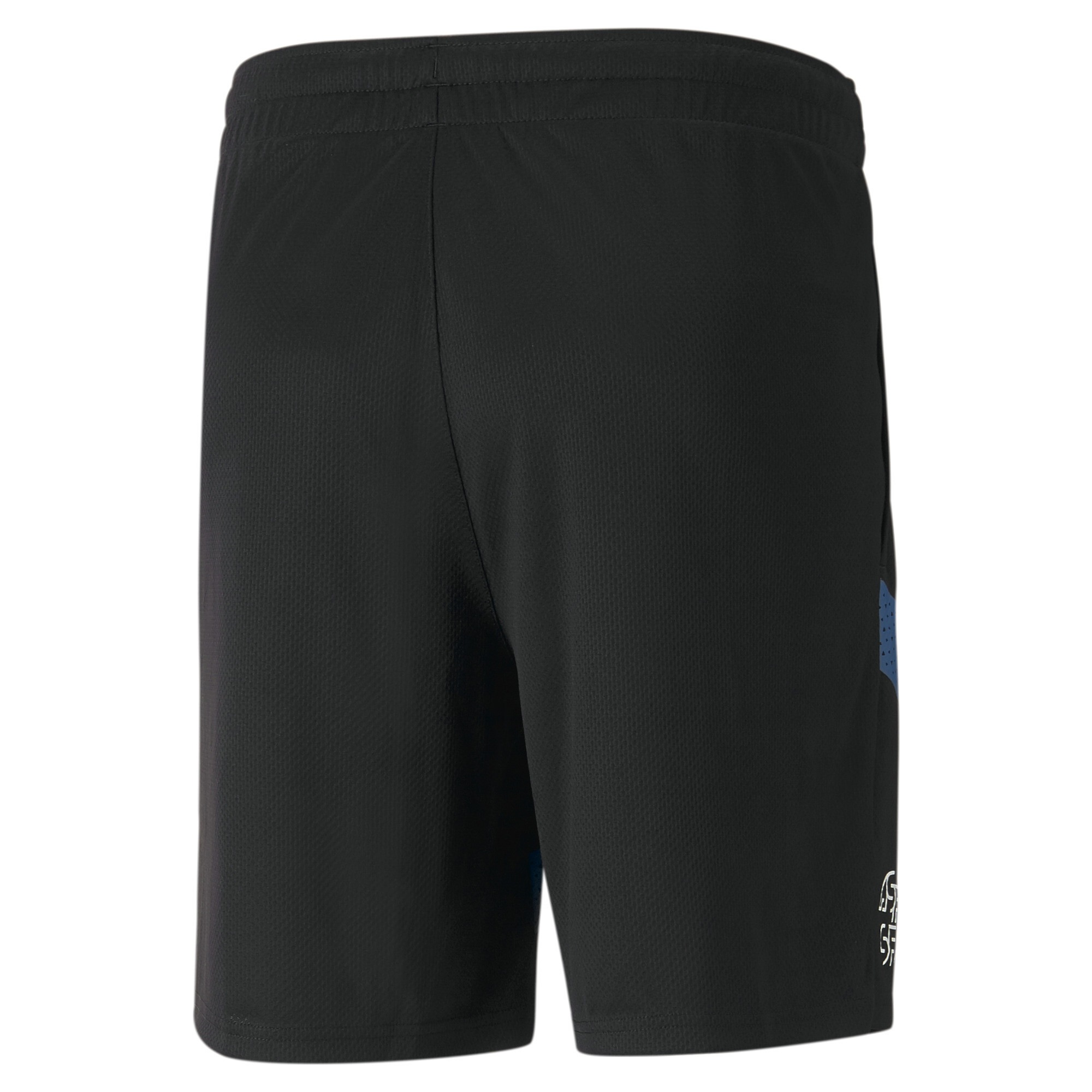 PUMA Sporthose »Schweiz Fußball Trainingsshorts Herren«