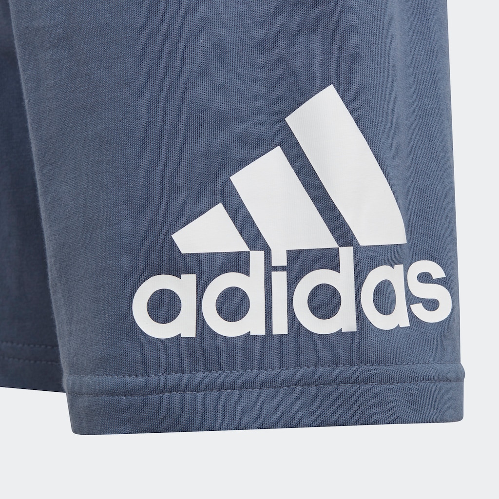 adidas Sportswear Trainingsanzug »LK BL CO T SET«, (2 tlg.)