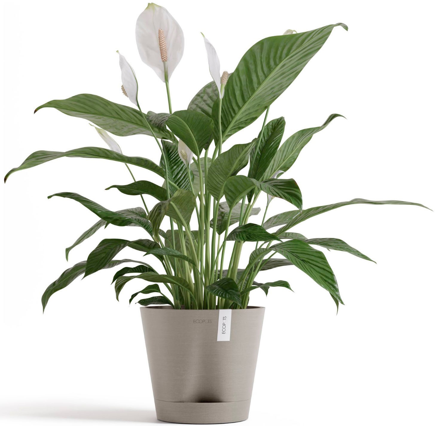 ECOPOTS Blumentopf »Venice 2 20 Taupe« für den Innenbereich