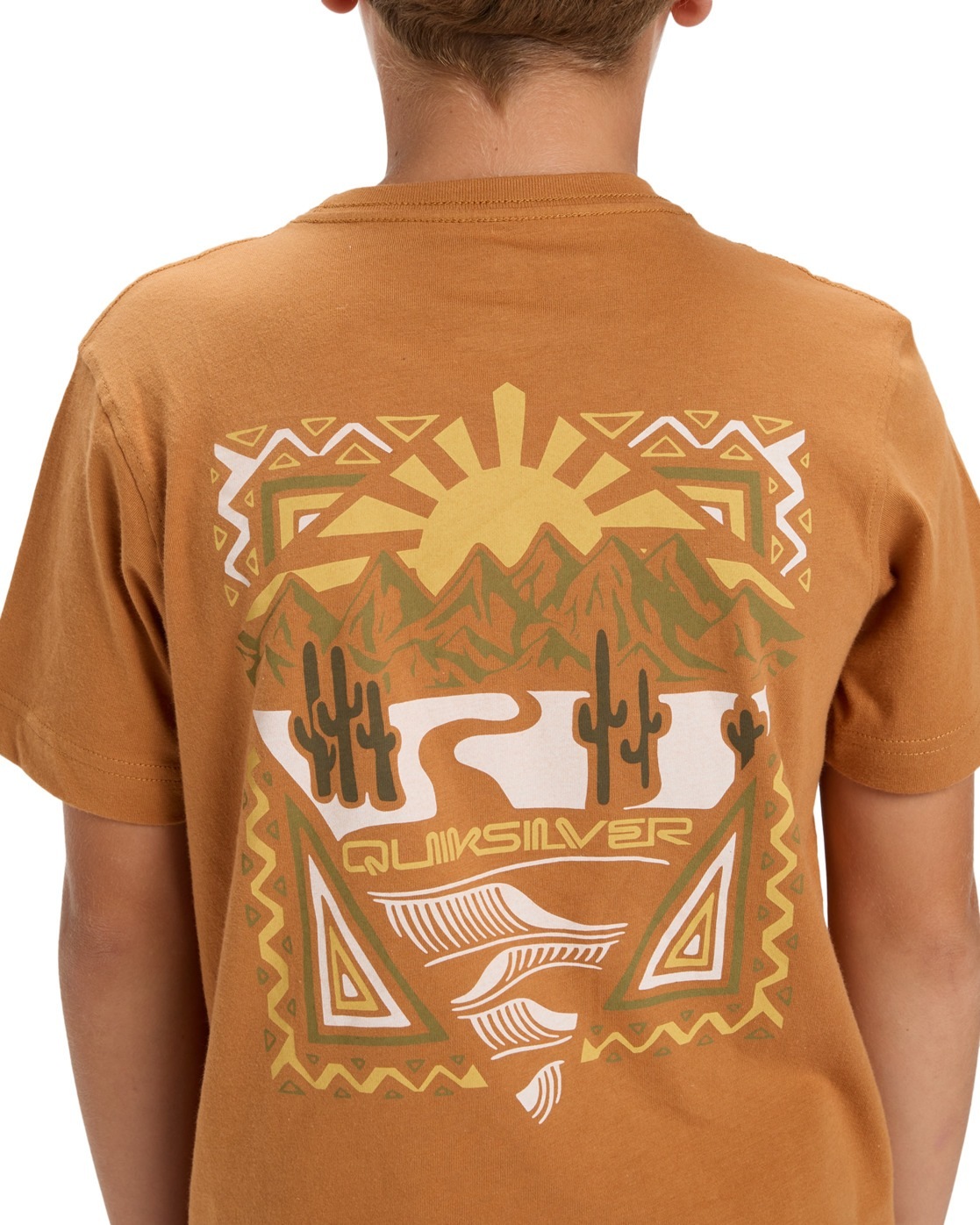 Quiksilver T-Shirt »Ev Desert Waves«