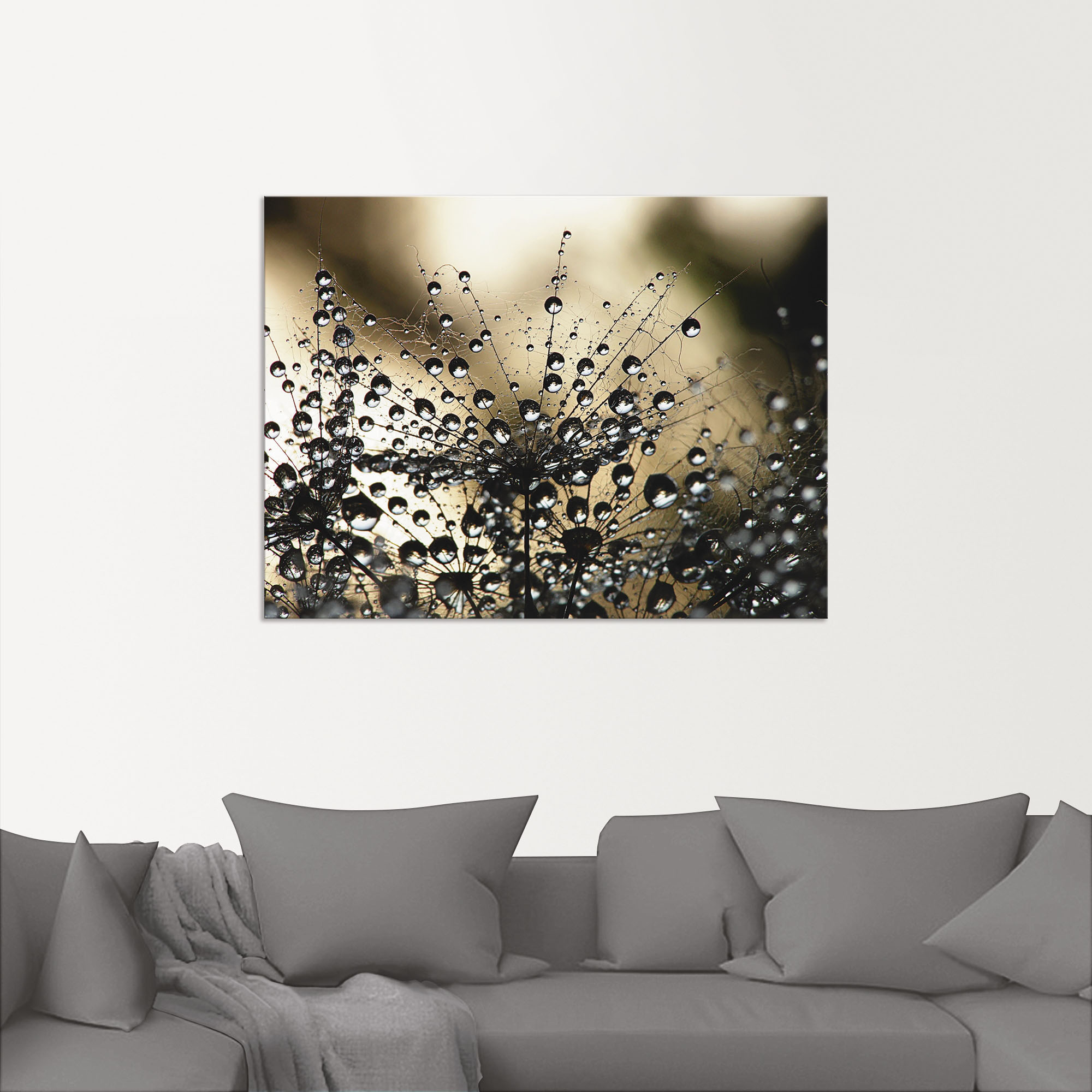 Artland Wandbild "Nasser Löwenzahn" 1 Stk. tlg. als Alubild, Outdoorbild, L günstig online kaufen