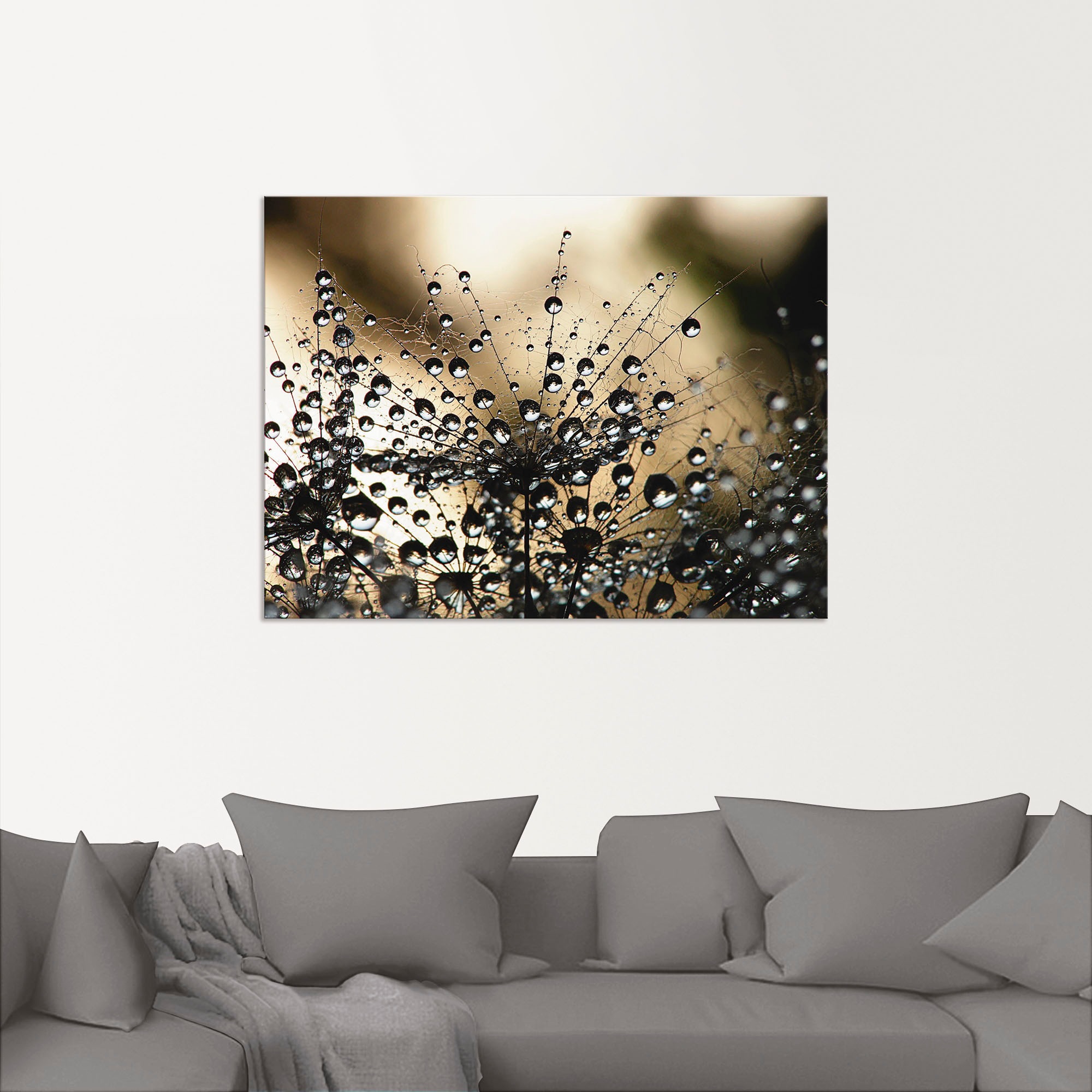 Artland Wandbild "Nasser Löwenzahn" Blumen 1 Stk. tlg. als Alubild, Outdoor günstig online kaufen