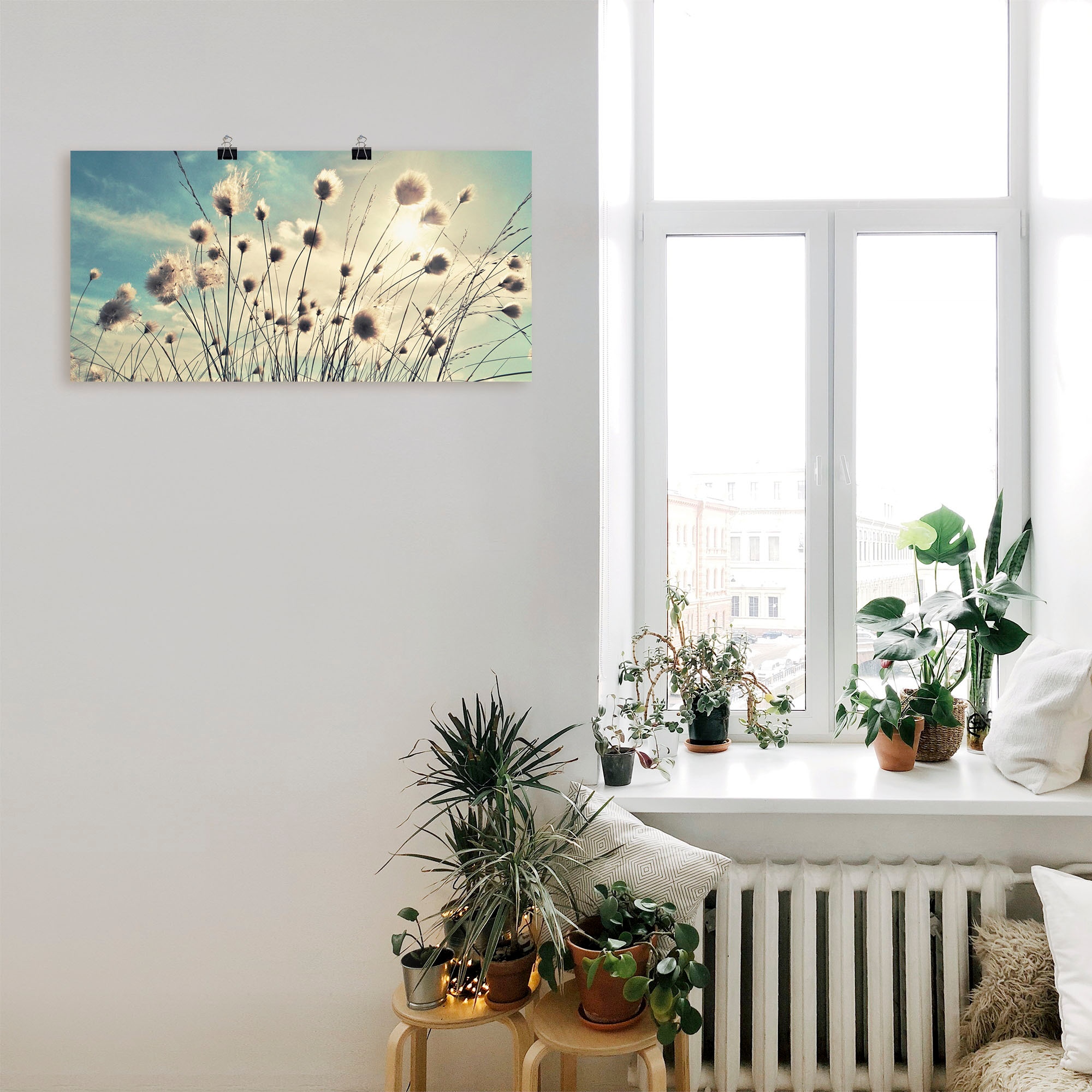 Artland Wandbild »Wollgras«, Gräser, (1 St.), als Alubild, Outdoorbild, Leinwandbild, Poster, Wandaufkleber