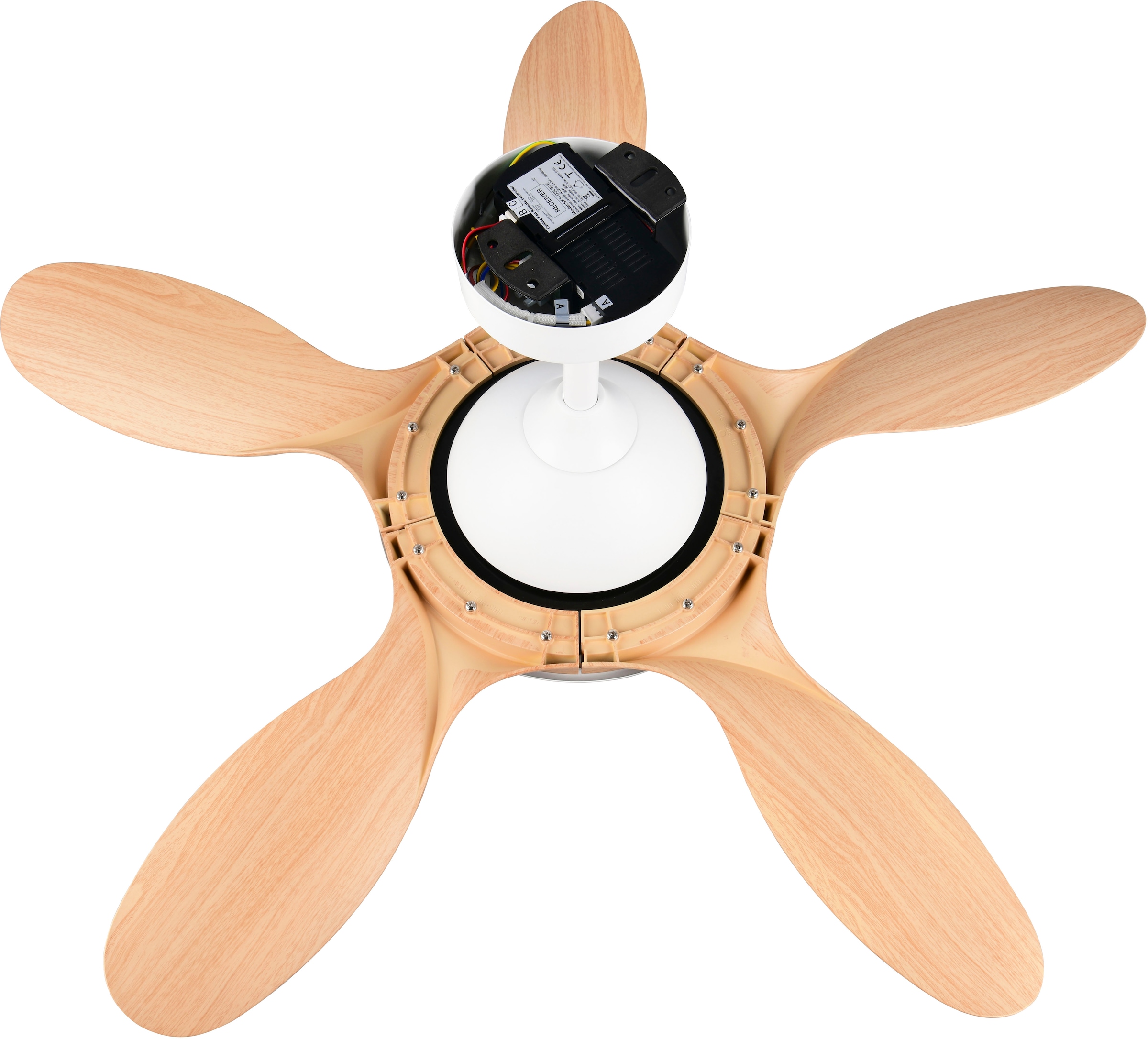 REALITY Leuchten LED Deckenleuchte »FLEN mit Ventilator, großer Deckenventilator Ø 108cm mit 24W LED CCT« LED-Board 1 Stk. Farbwechsler | warmweiß - kaltweiß Fernbedienung 6 Geschwindigkeiten Timer Vor- & Rücklauf dimmbar