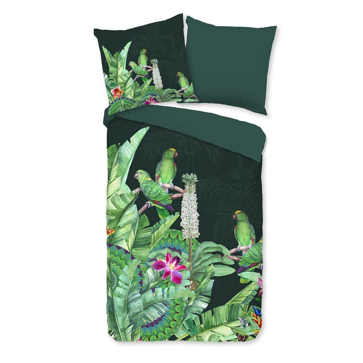 TRAUMSCHLAF Bettwäsche »Cato«, (2 tlg.), fantasievolles Design mit Papageien