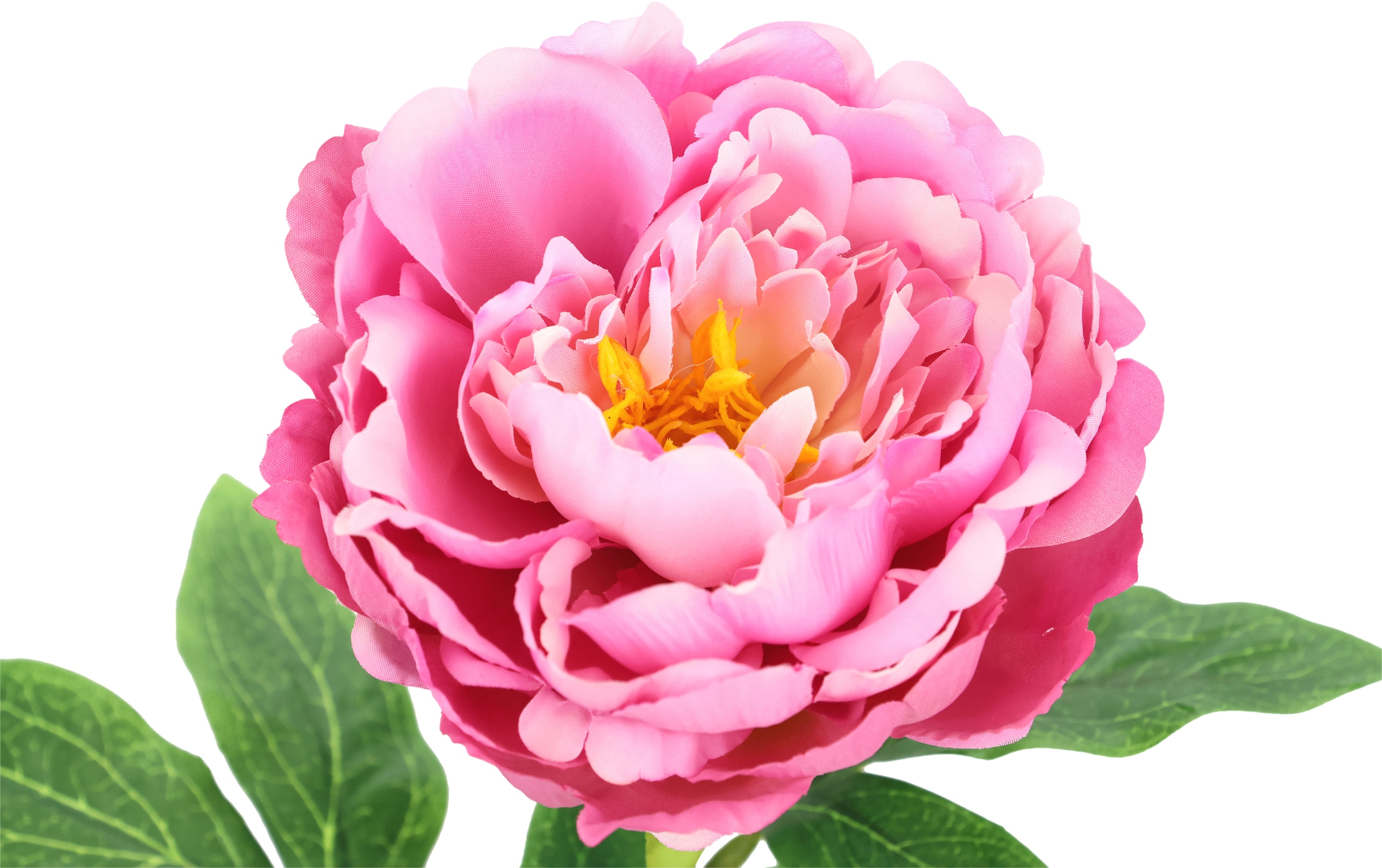 I.GE.A. Kunstblume »Päonie Bauernrose«, Pfingstrosen Einzelblume, 3er Set