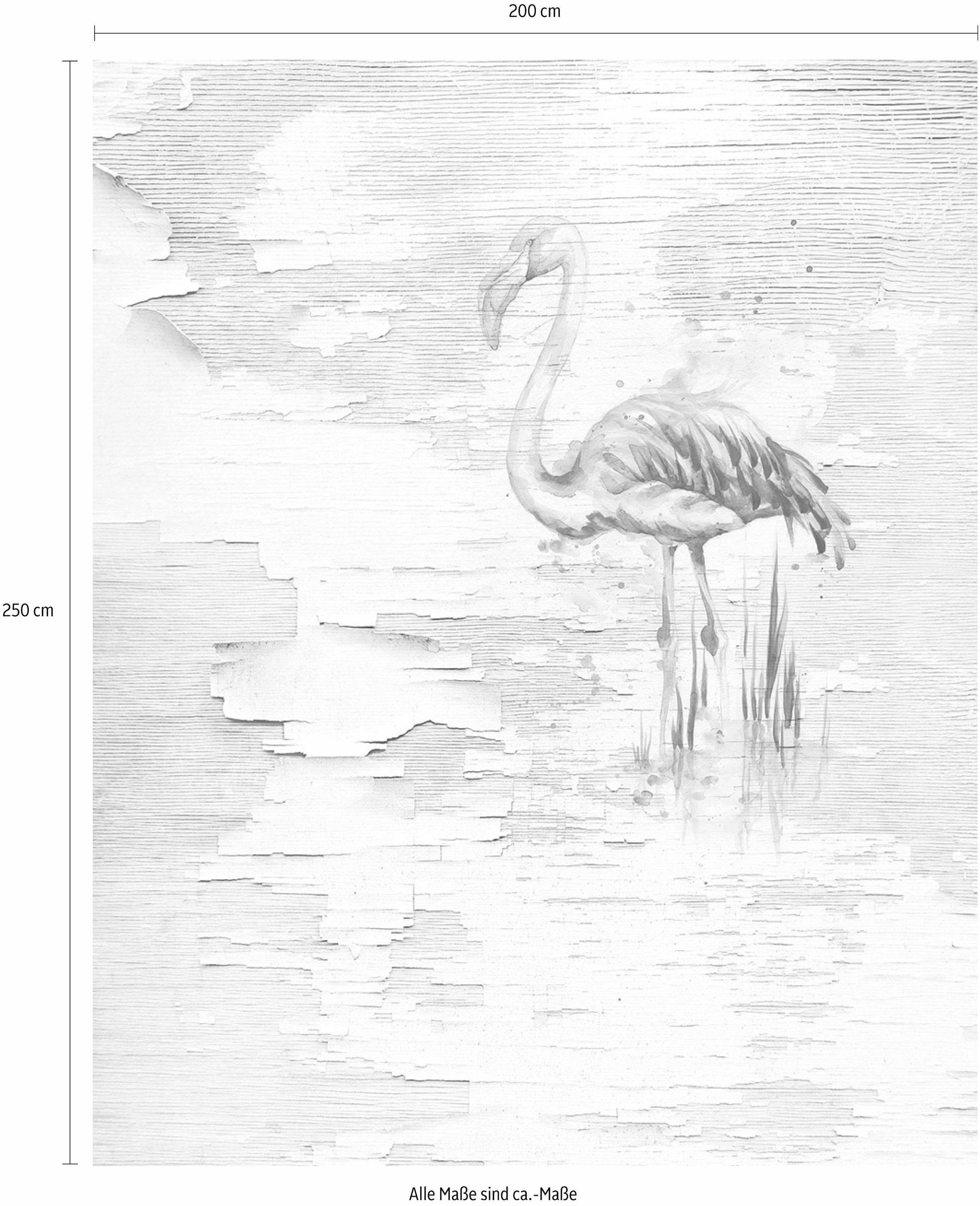 Komar Vliestapete »Digitaldruck Vlies - Pink Flamingo - Größe 200 x 250 cm«, bedruckt, Wohnzimmer, Schlafzimmer