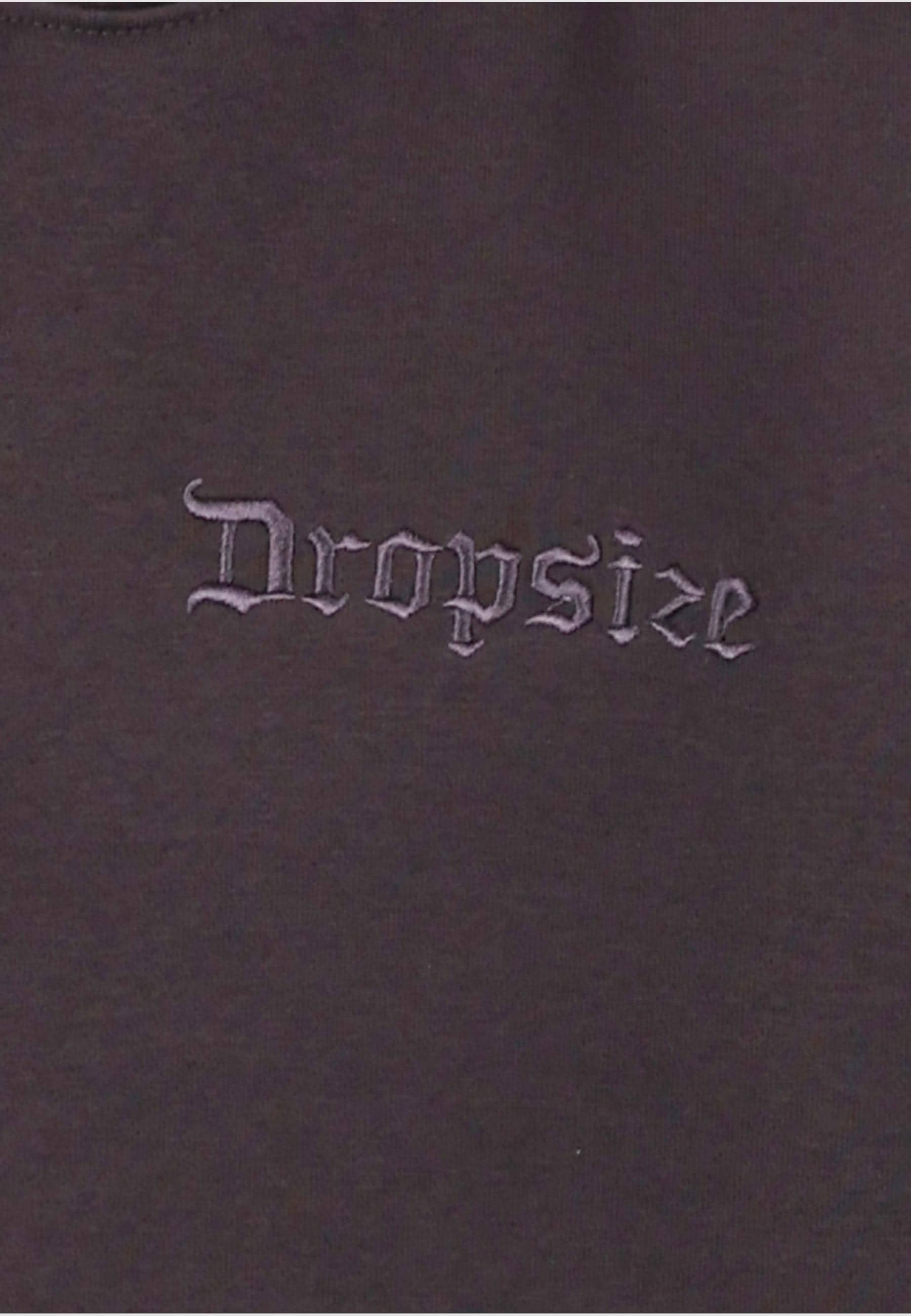 Dropsize Kapuzensweatshirt »Dropsize Dropsize REGULAR FIT HOODIE«, (1 tlg.)