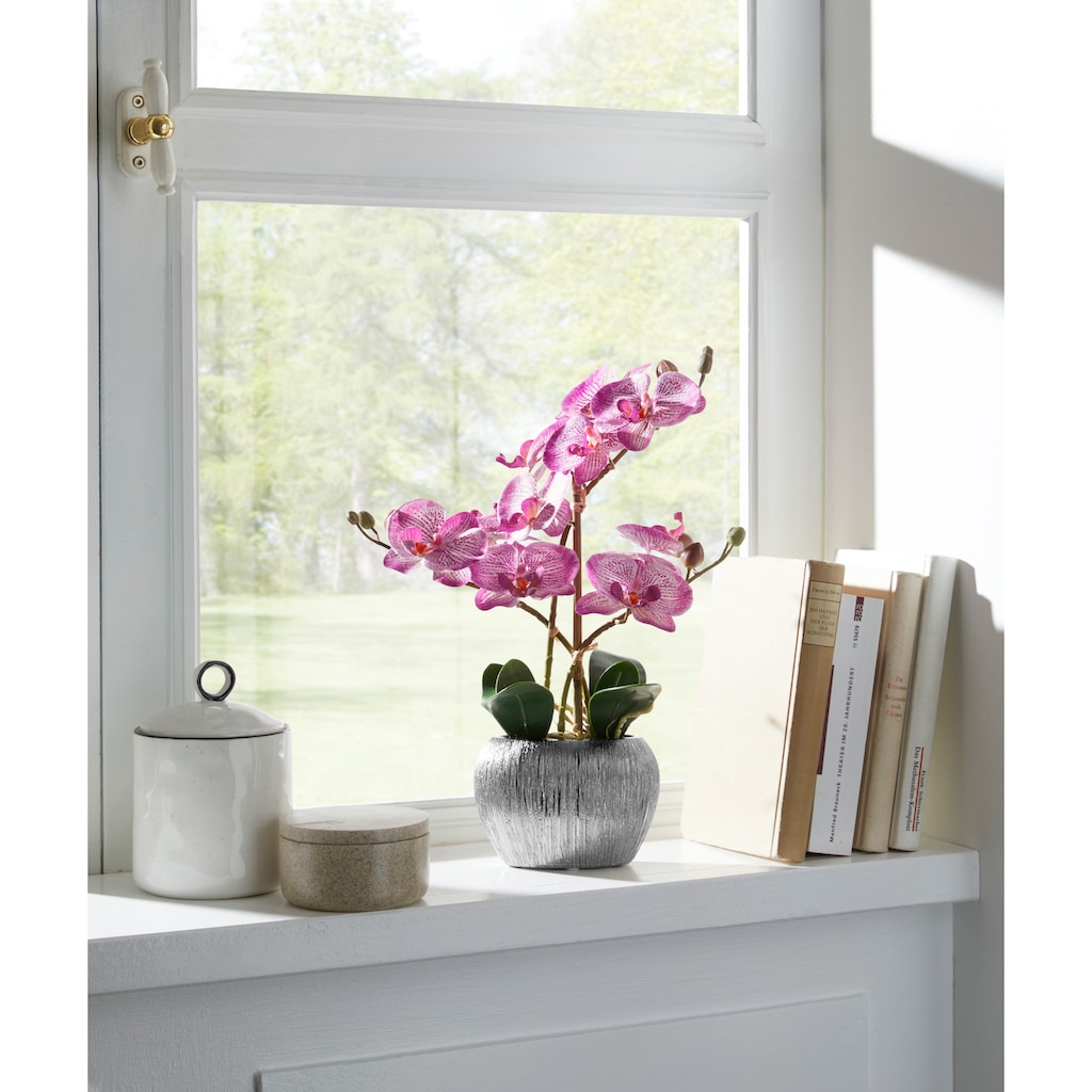 Home affaire Kunstpflanze »Orchidee«