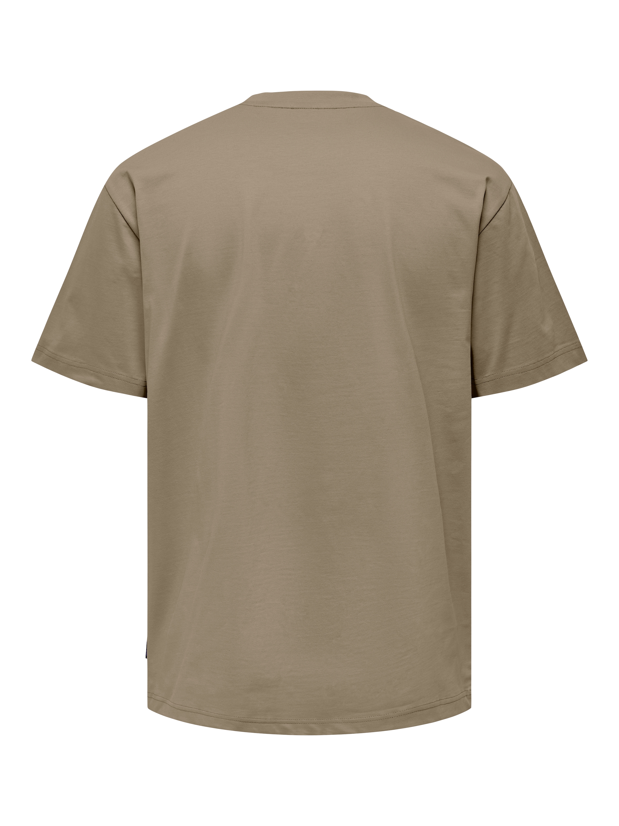 ONLY & SONS Rundhalsshirt »ONSFRED RLX SS TEE«