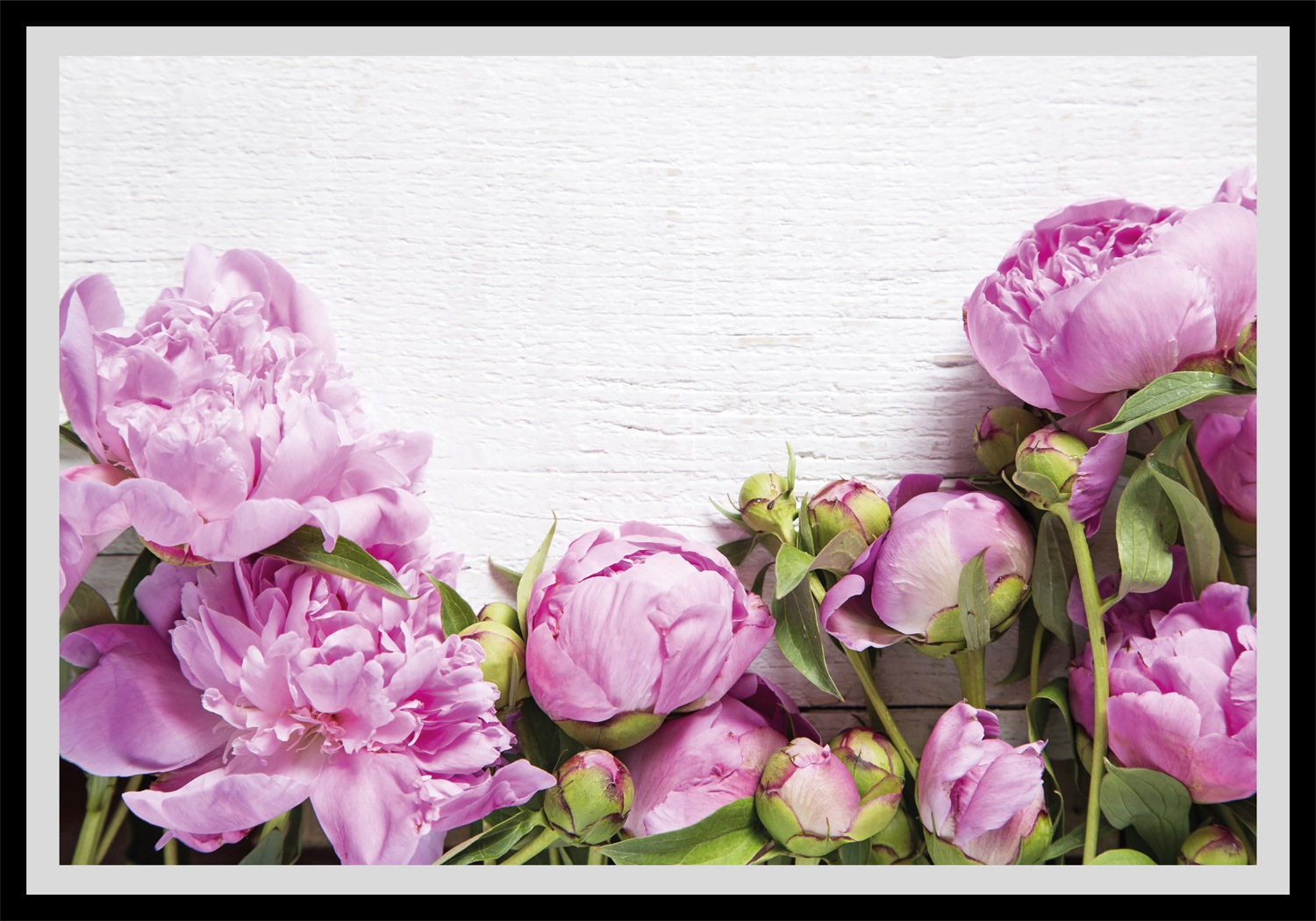 queence Bild »Karen«, Blumen, Rosen, gerahmt