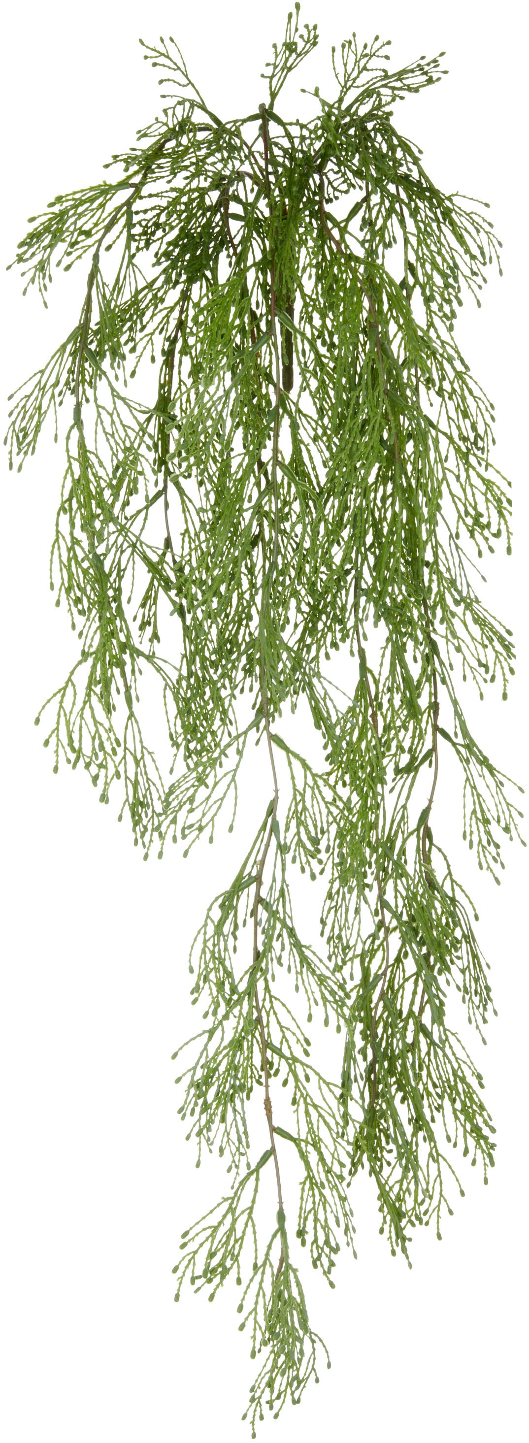 Creativ green Kunstranke "Juniperus", mit üppigen Ranken günstig online kaufen