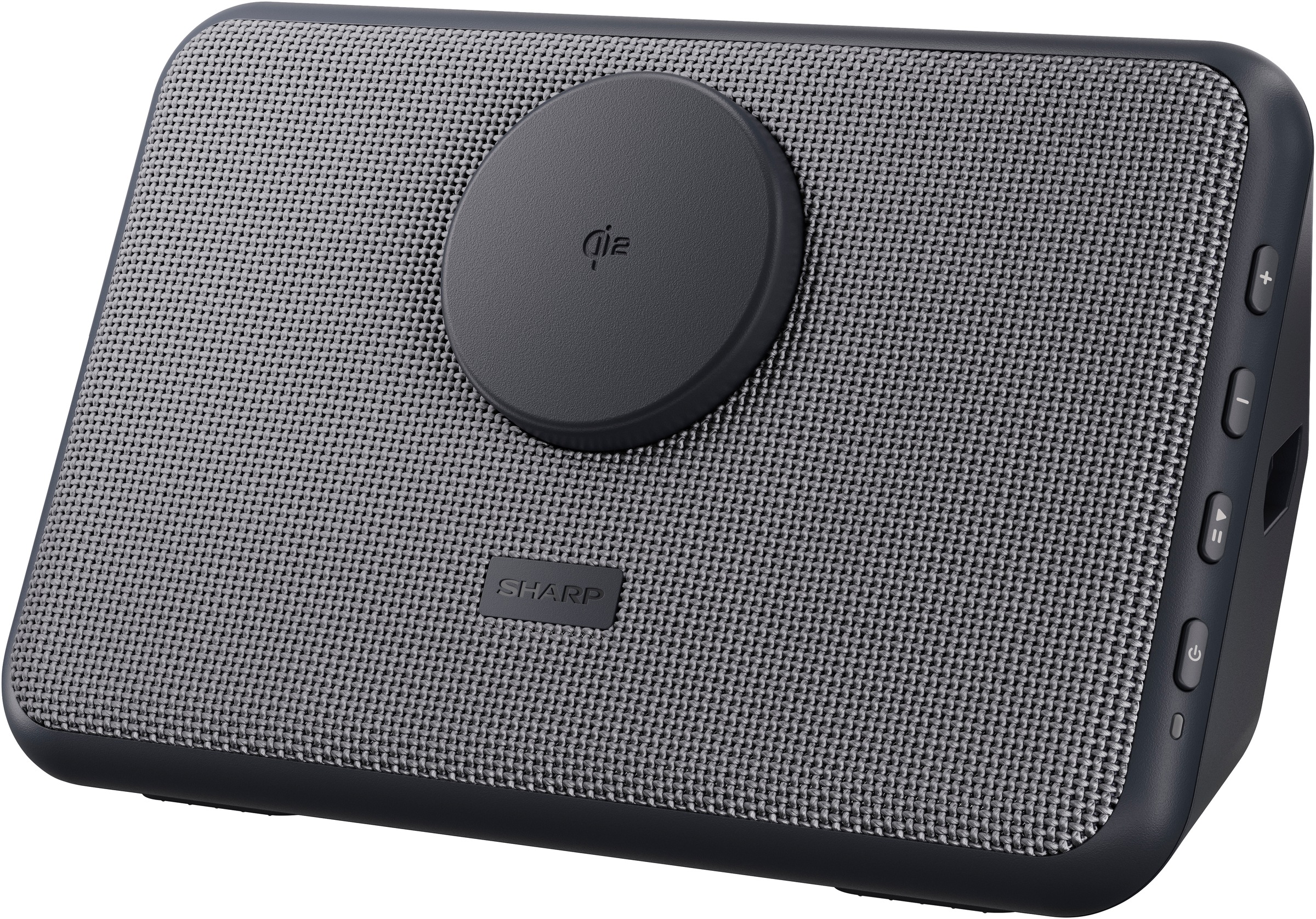 Sharp Bluetooth-Lautsprecher »CP-DS09« Stereo (A2DP Bluetooth | AVRCP Bluetooth | Bluetooth Apple Siri | Google Assistant | Ladefunktion für Mobilgeräte | Lautstärkeregelung )