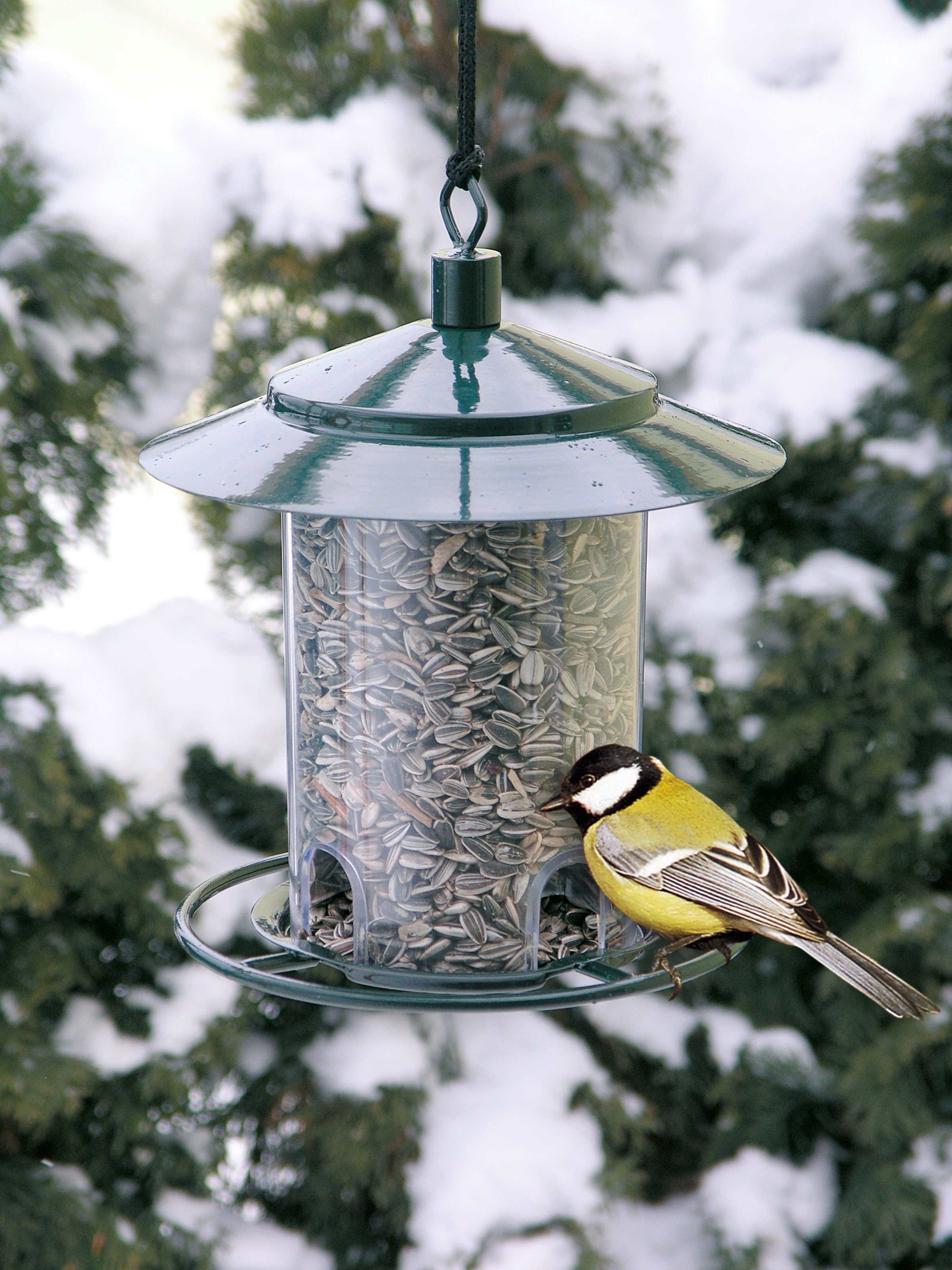 Windhager Vogelhaus »Compact, Vogelfuttersilo aus Metall und Kunststoff« Futterstation inkl. Aufhängung, Füllvolumen 1 Liter