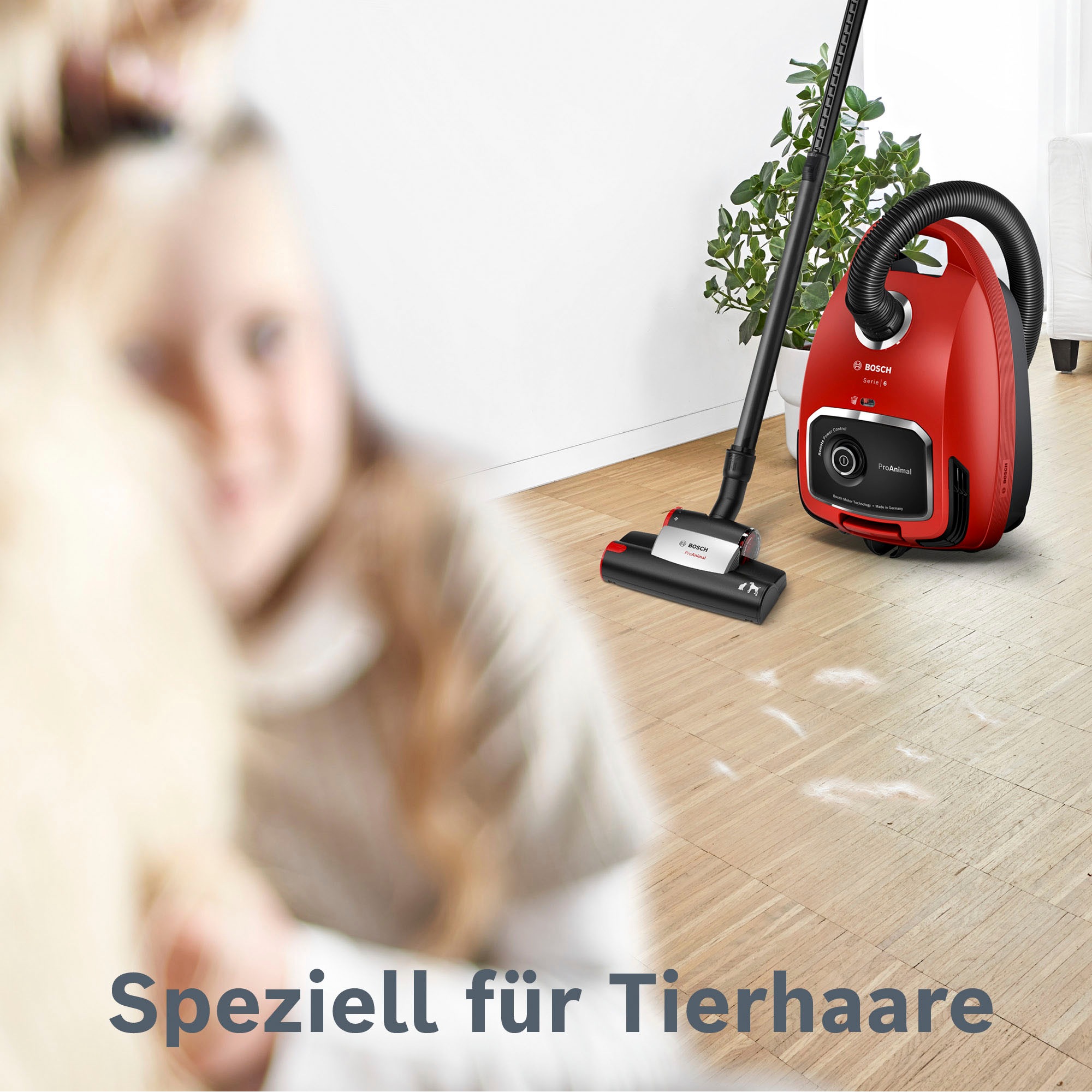 BOSCH Bodenstaubsauger "ProAnimal Serie 6, BGL6TPET" 700 W mit Beutel Ideal günstig online kaufen