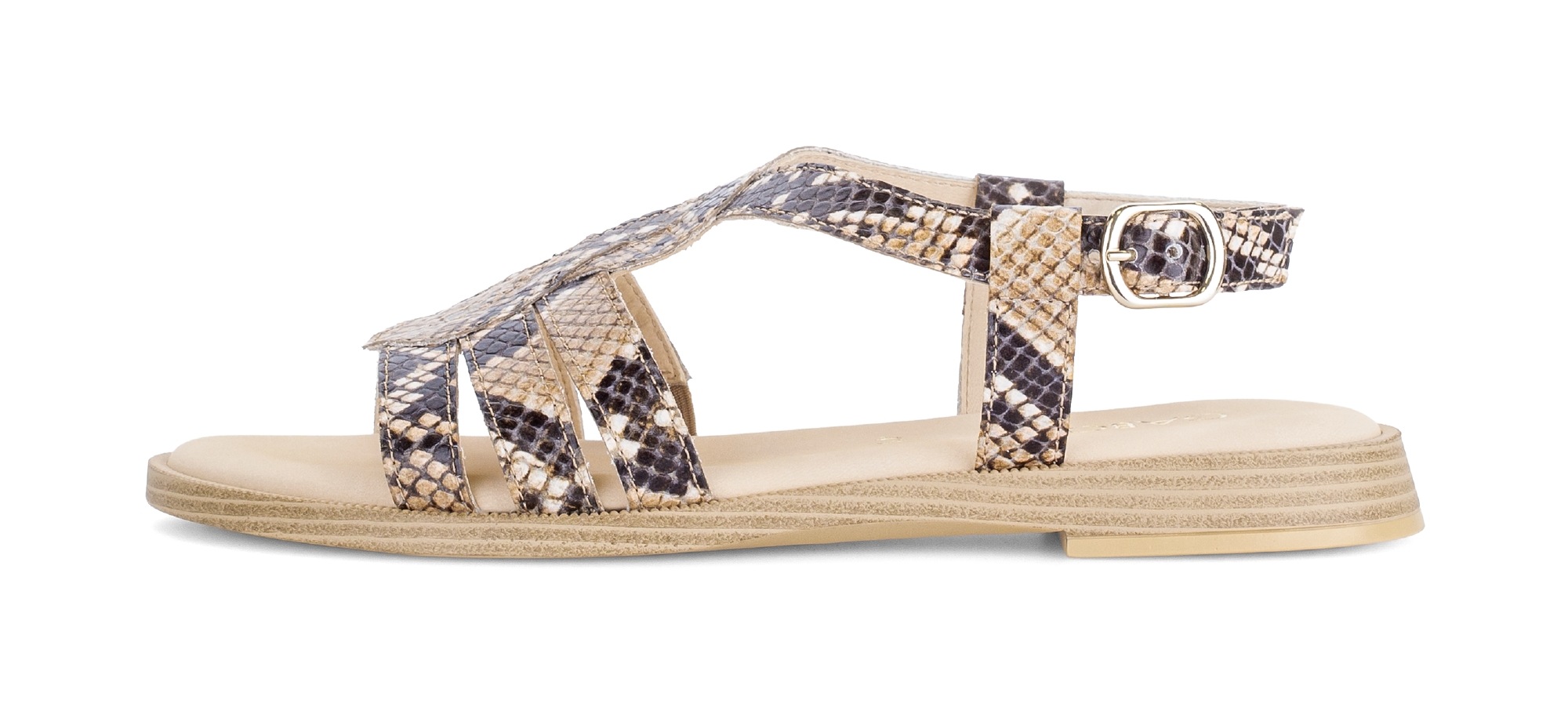 Gabor Riemchensandale  Blockabsatz, Sandalette, Sommerschuh mit verstellbarer Schnalle