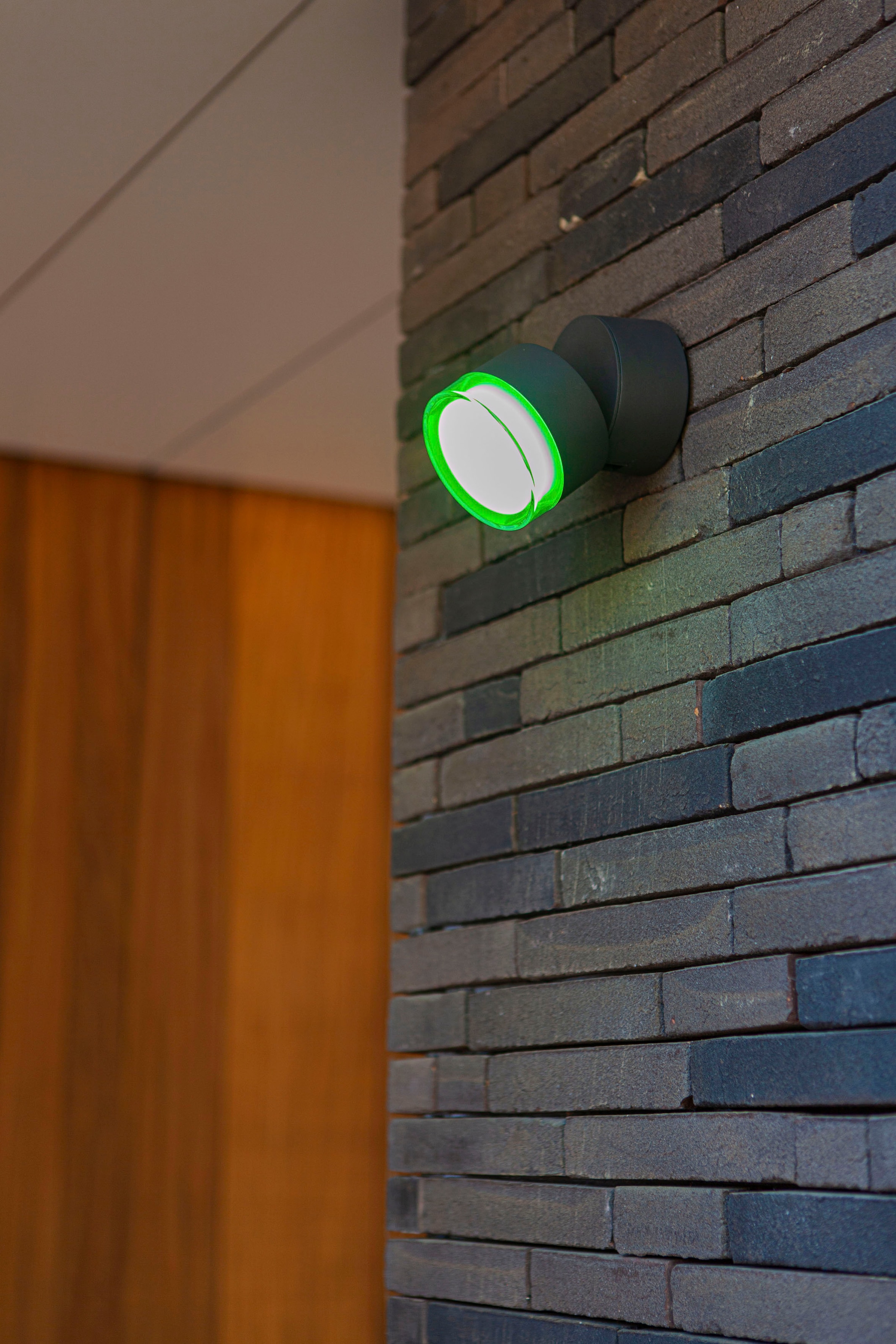 LUTEC Smarte LED-Leuchte »DROPSI«, Leuchtmittel LED-Modul | LED fest integriert, Smart-Home