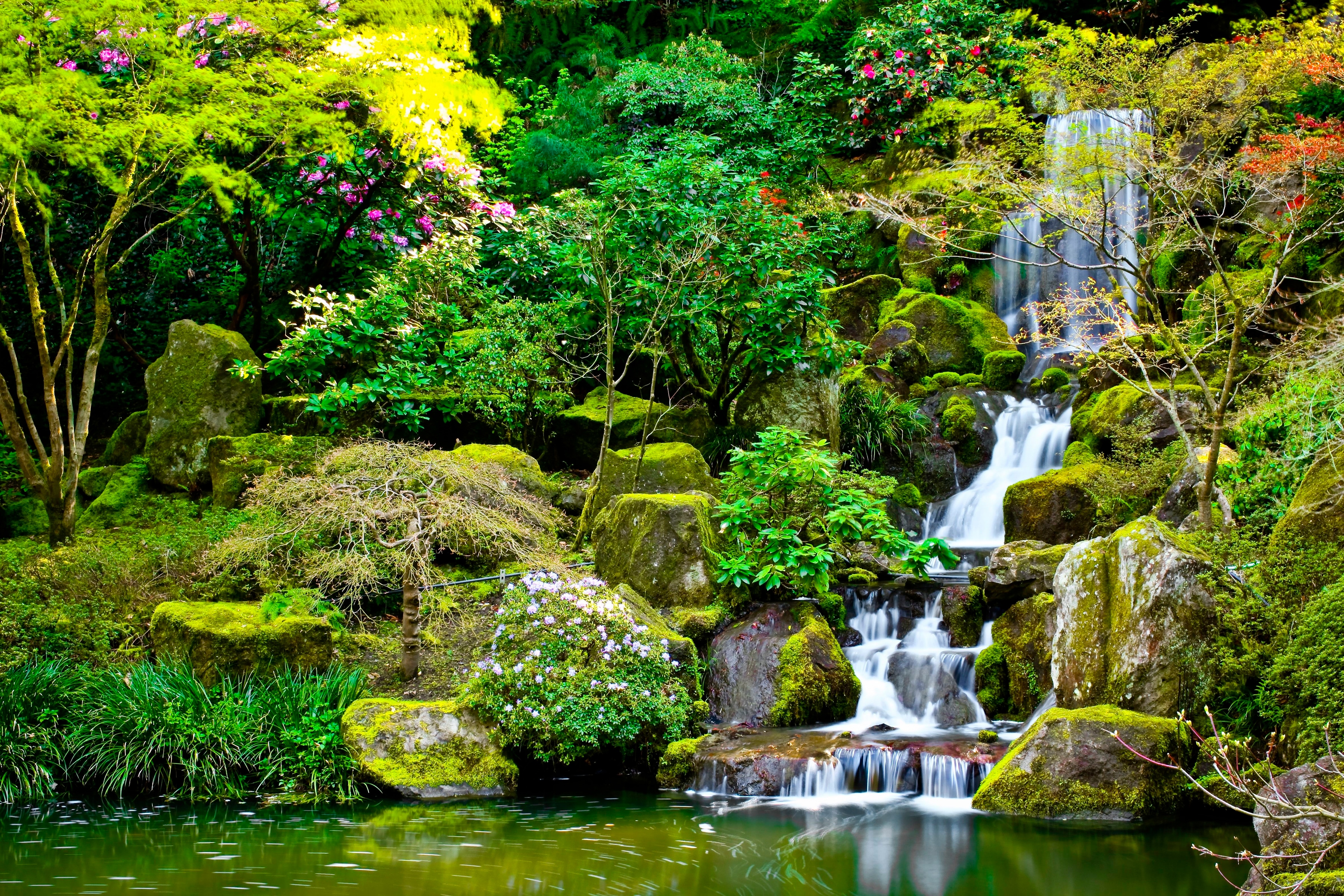 Papermoon Fototapete "Garden Pond" glatt