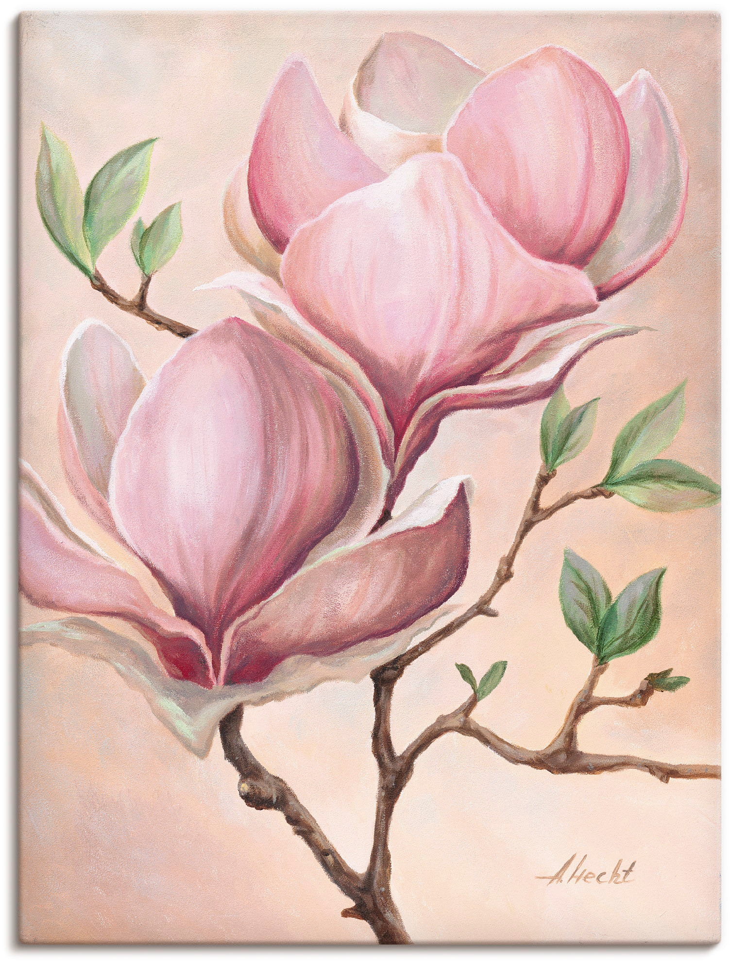| als kaufen BAUR Blumen, (1 Größen St.), Wandbild Poster »Magnolienblüten«, Artland oder Leinwandbild, Wandaufkleber in Alubild, versch.