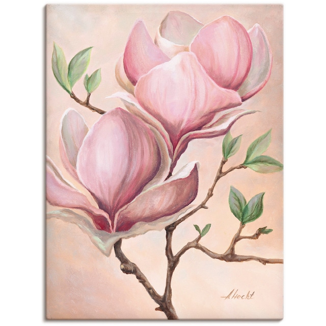 Artland Wandbild »Magnolienblüten«, Blumen, (1 St.), als Alubild,  Leinwandbild, Wandaufkleber oder Poster in versch. Größen kaufen | BAUR