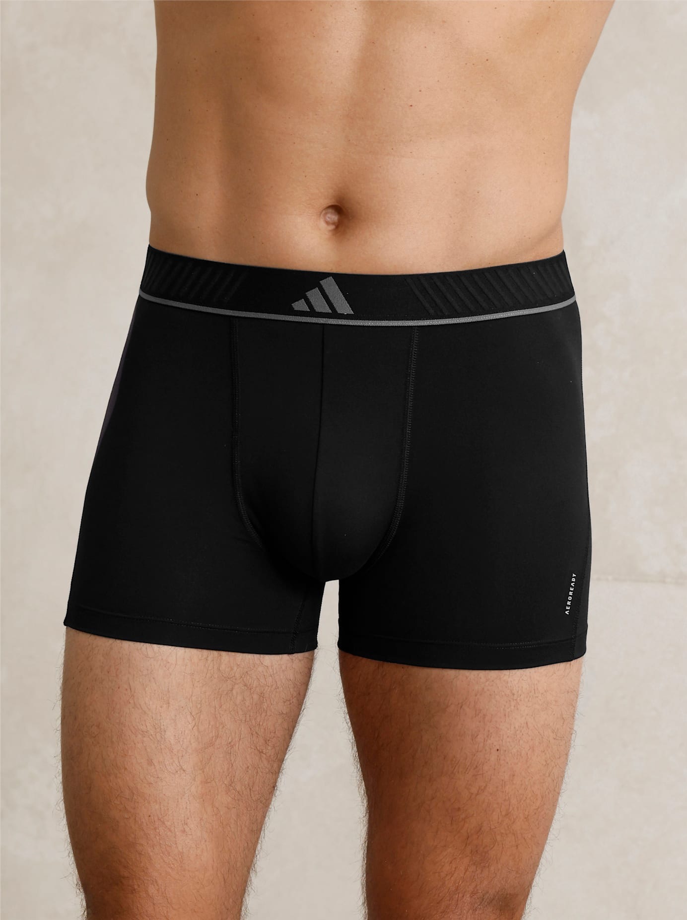 Panty 3 Stk. günstig online kaufen