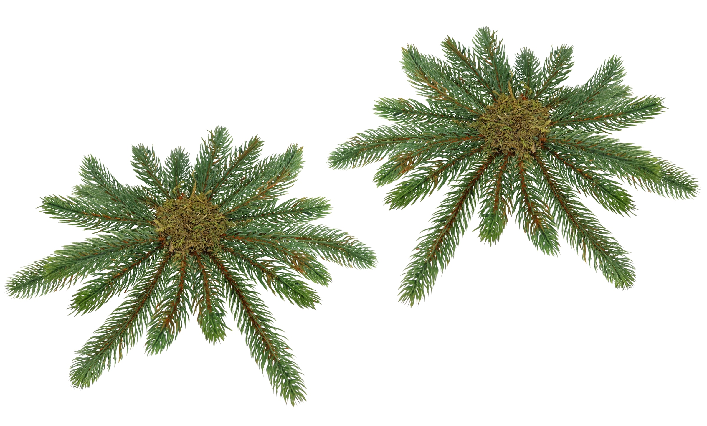 I.GE.A. Kunstkranz "Tannen-Leger" günstig online kaufen