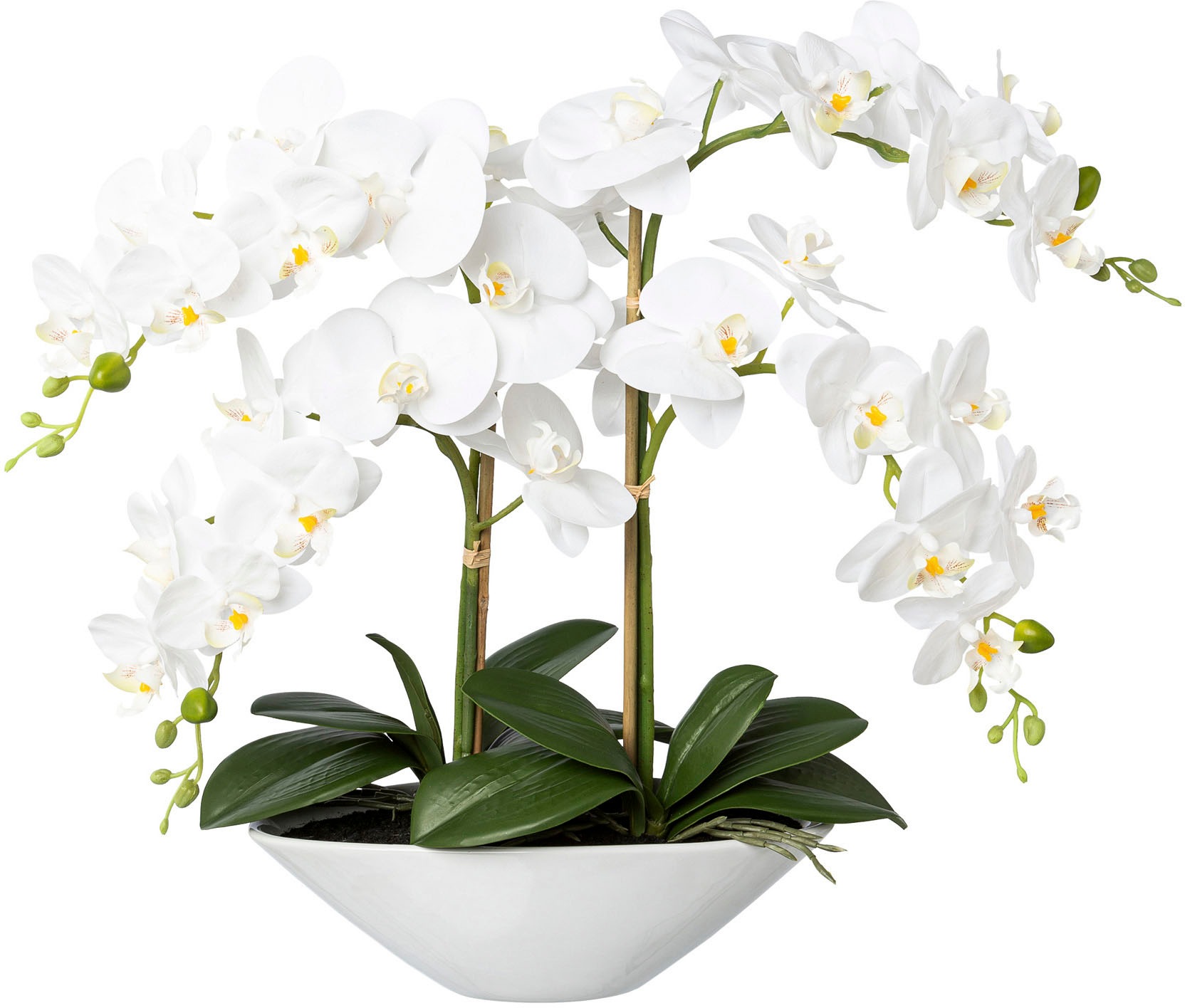 Creativ green Kunstorchidee "Deko-Orchidee Phalaenopsis in Keramikschale" günstig online kaufen