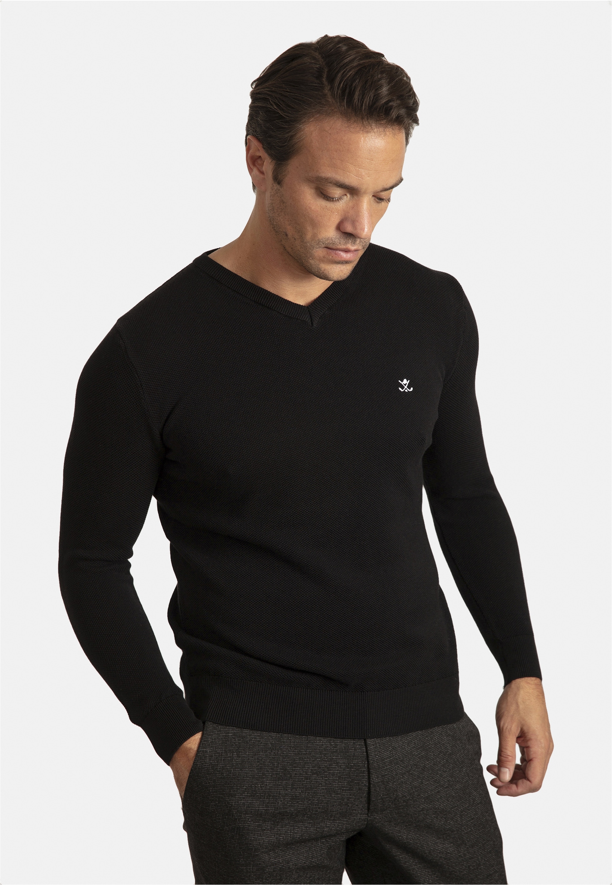 SIR RAYMOND TAILOR V-Ausschnitt-Pullover »Liva«, mit elegantem V-Ausschnitt