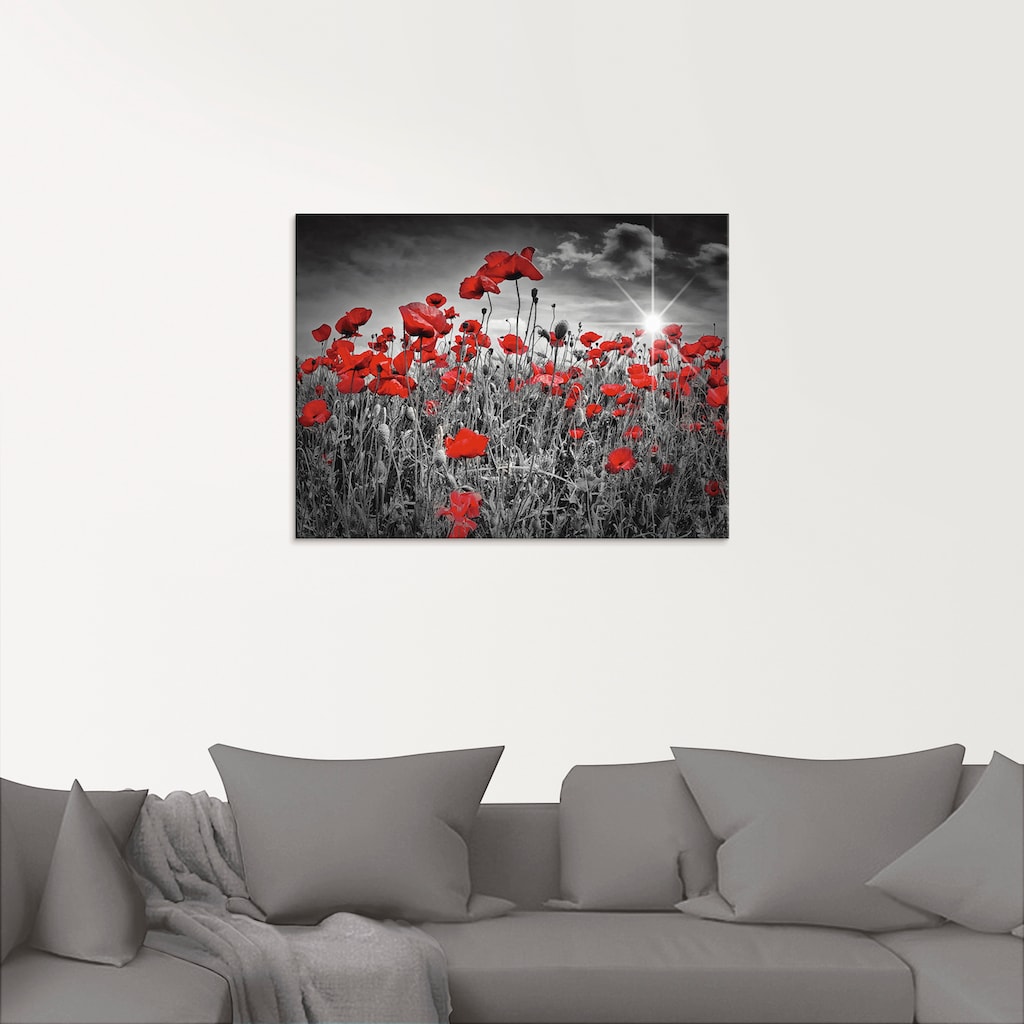 Artland Glasbild »Idyllisches Mohnblumenfeld«, Blumen, (1 St.)