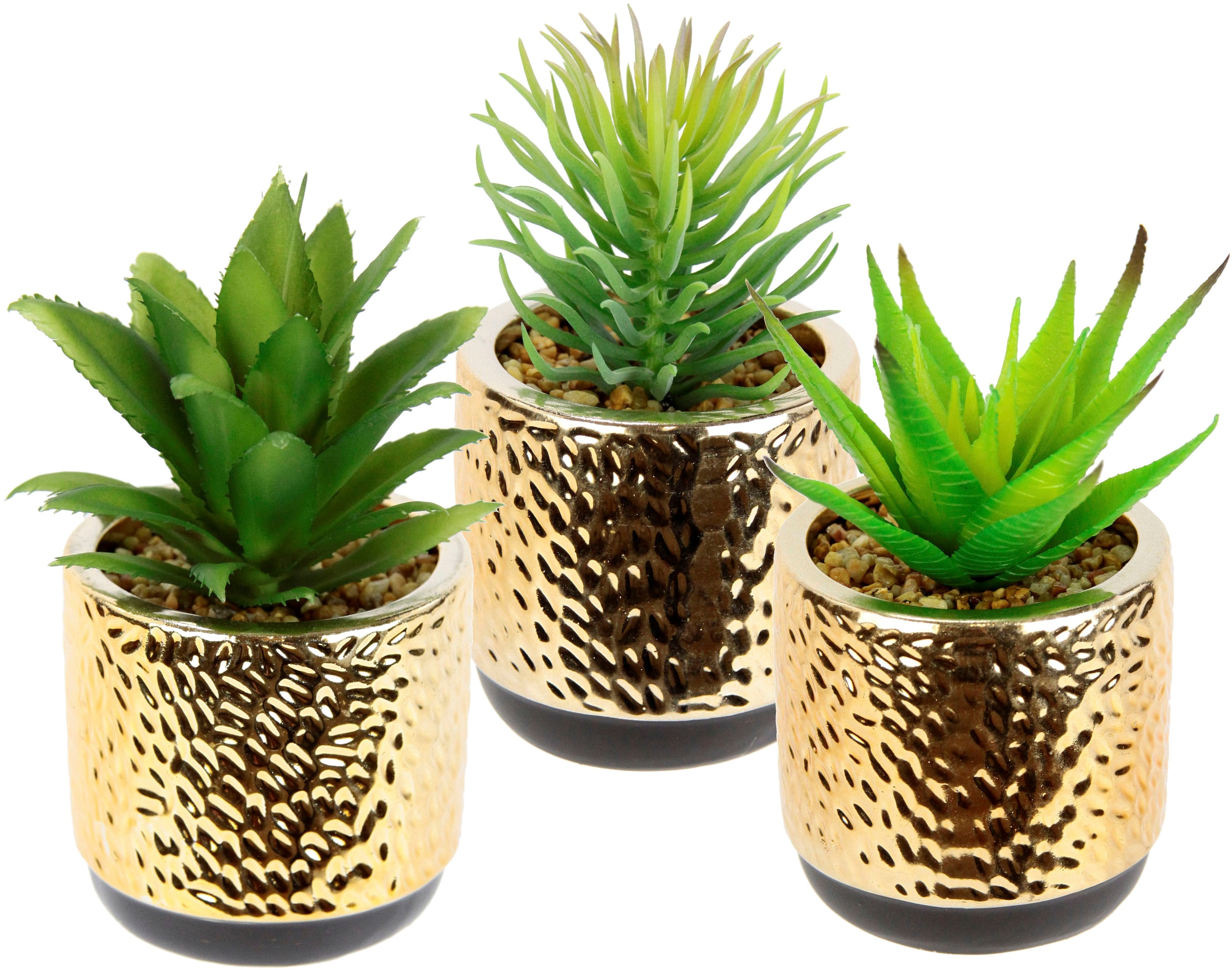 I.GE.A. Kunstpflanze »Dekorative Sukkulenten«, künstliche Agave, | Kaktus Aloe, kaufen BAUR 4er Set, Pflanzen, Sukkulenten
