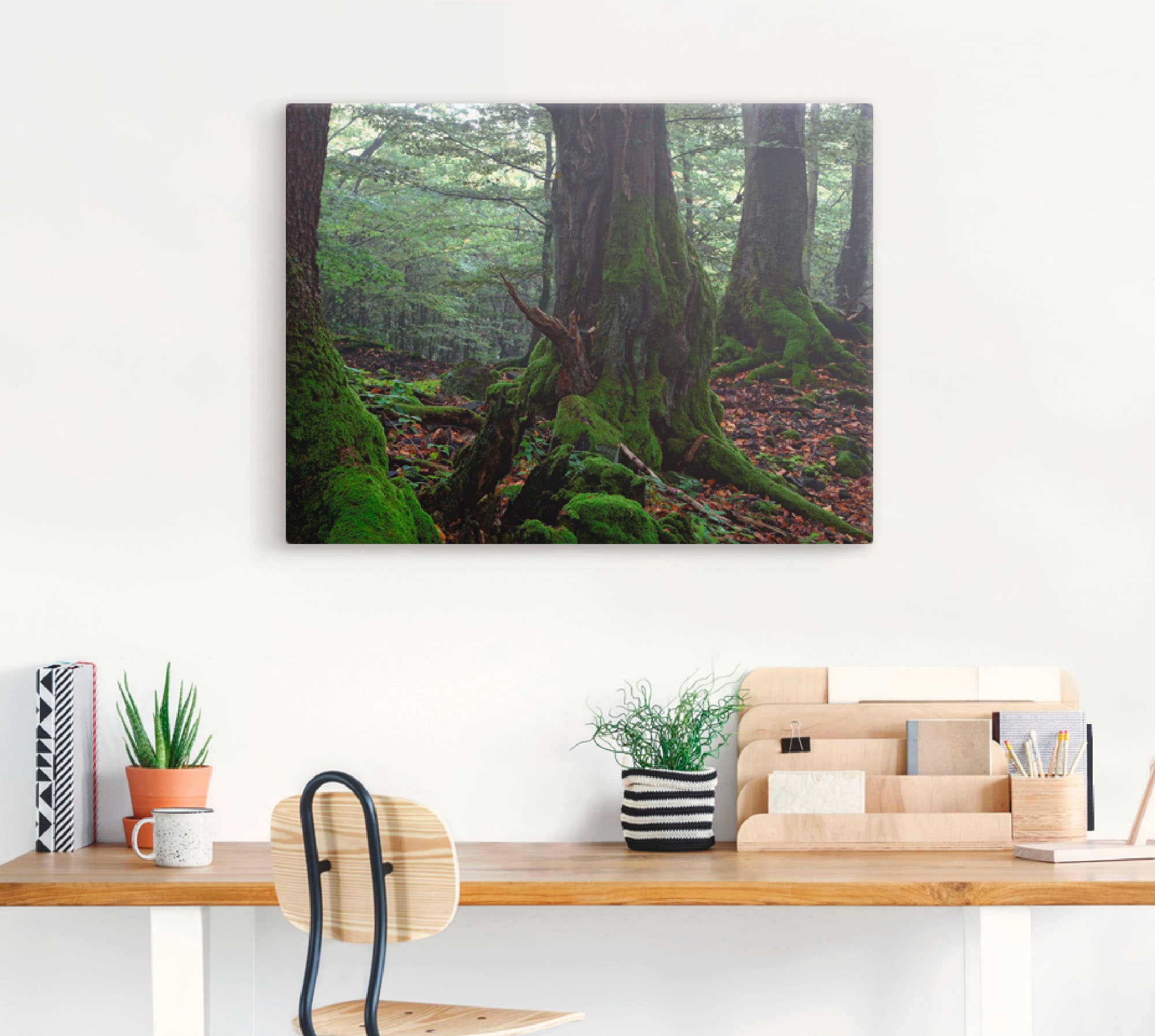 Artland Leinwandbild »Alte Bäume am Kraterrand«, Wald, (1 St.), auf Keilrahmen gespannt