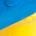 bunt