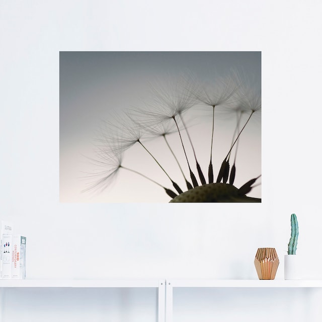 Black Friday Artland Wandbild »Pusteblumen-Samen I«, Blumen, (1 St.), als  Alubild, Leinwandbild, Wandaufkleber oder Poster in versch. Größen | BAUR